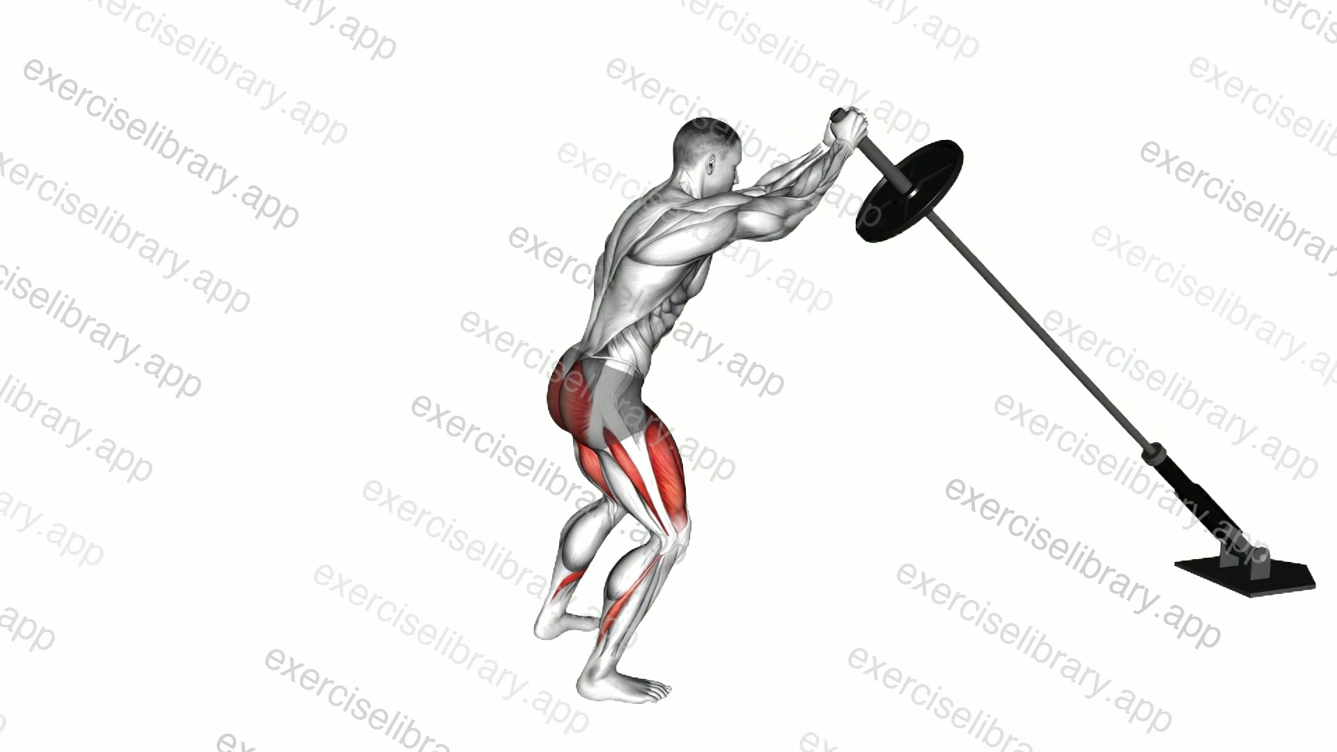 Landmine Squat demonstration