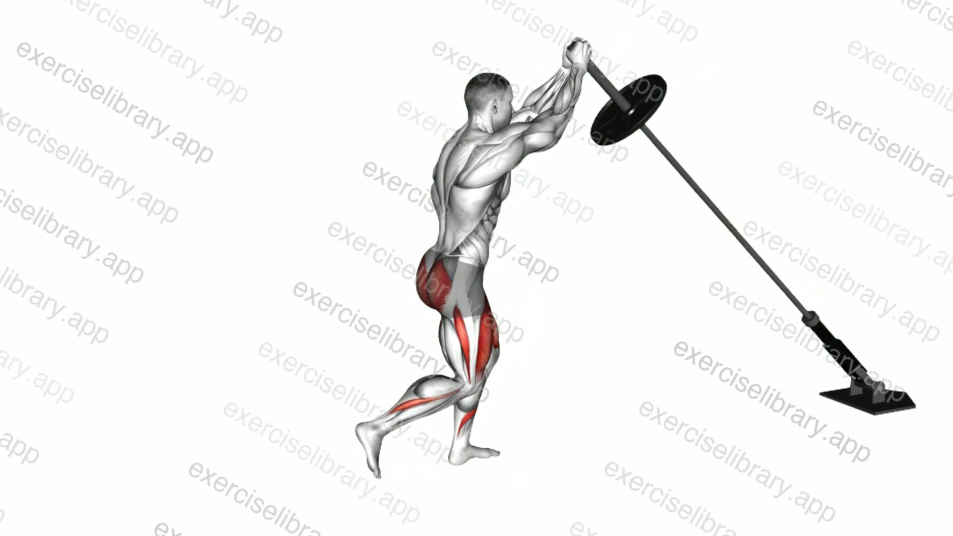 Landmine Overhead Rear Lunge demonstration
