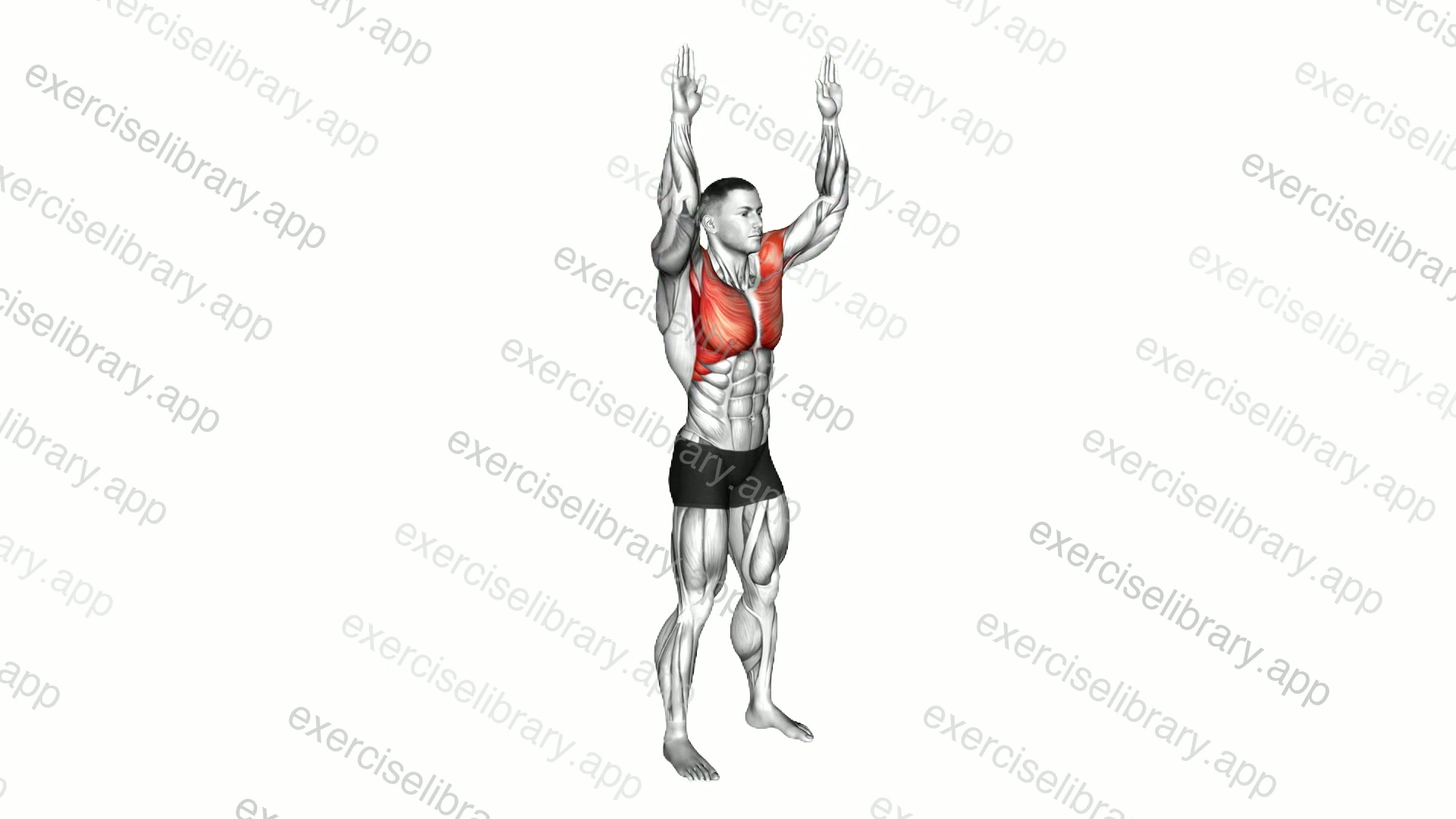 Elbow Touch and Press-up demonstration