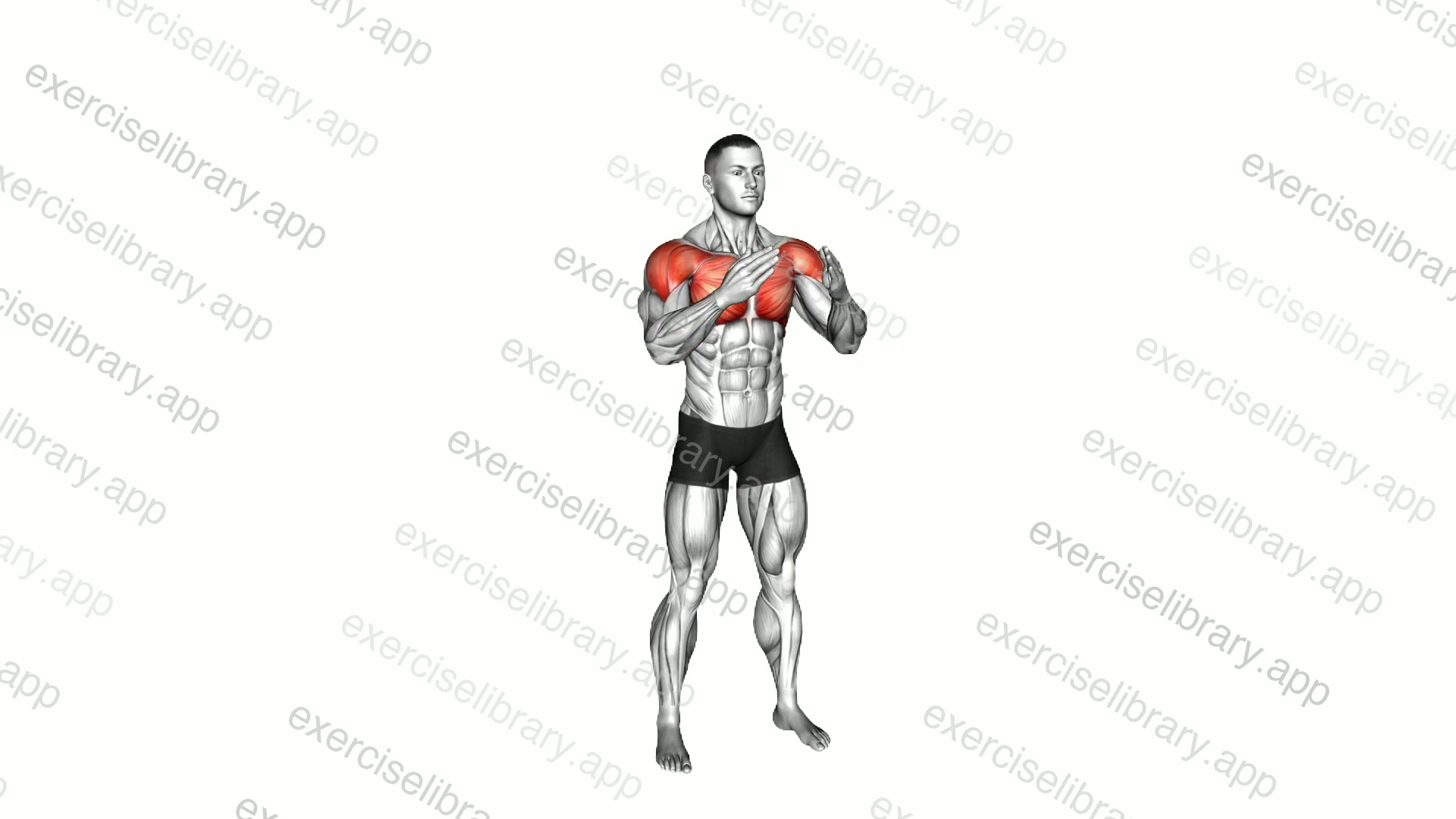 Chest Fly and Press-up demonstration