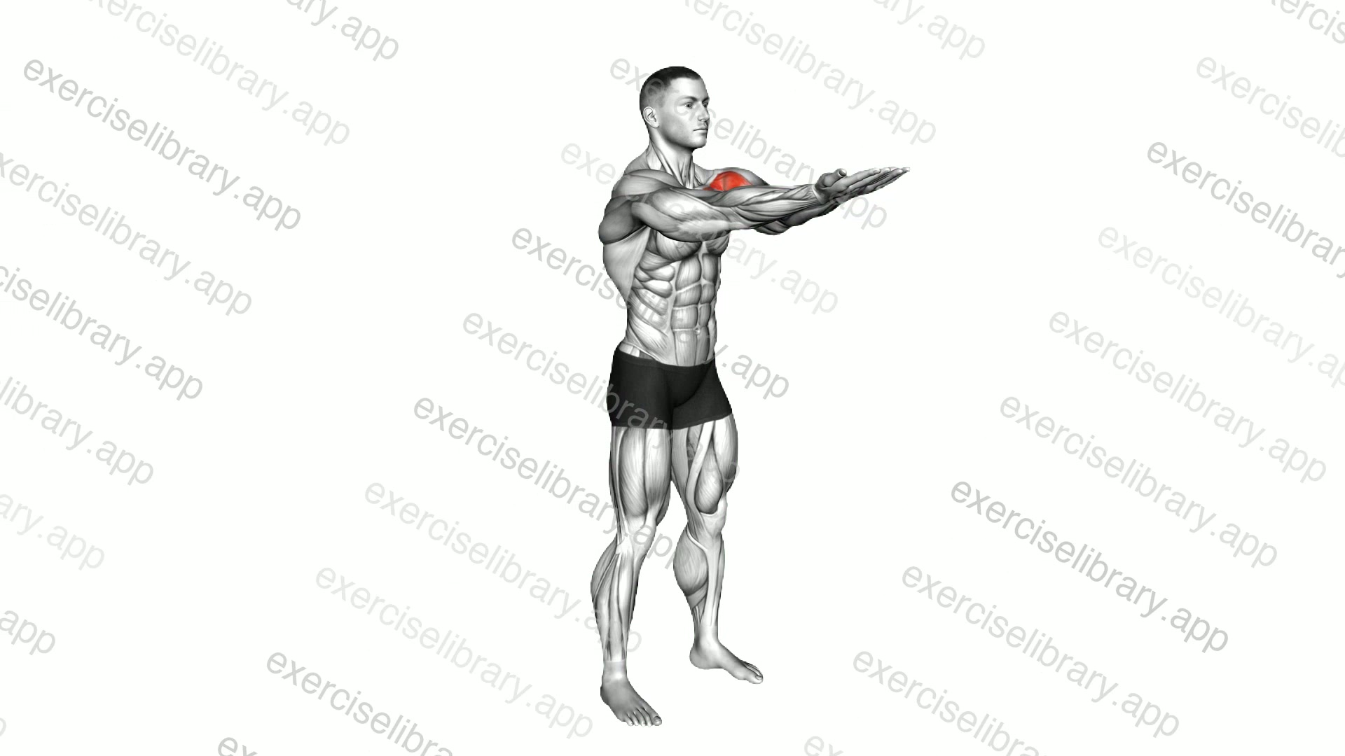 Elbow Closed Arms Pulse demonstration