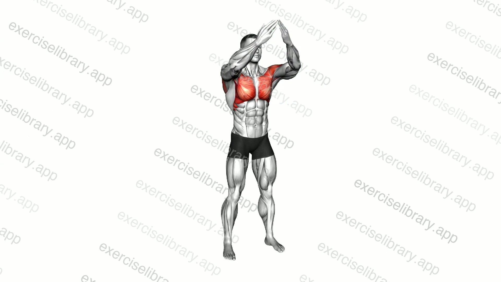 Arms Forward and Behind the Neck demonstration