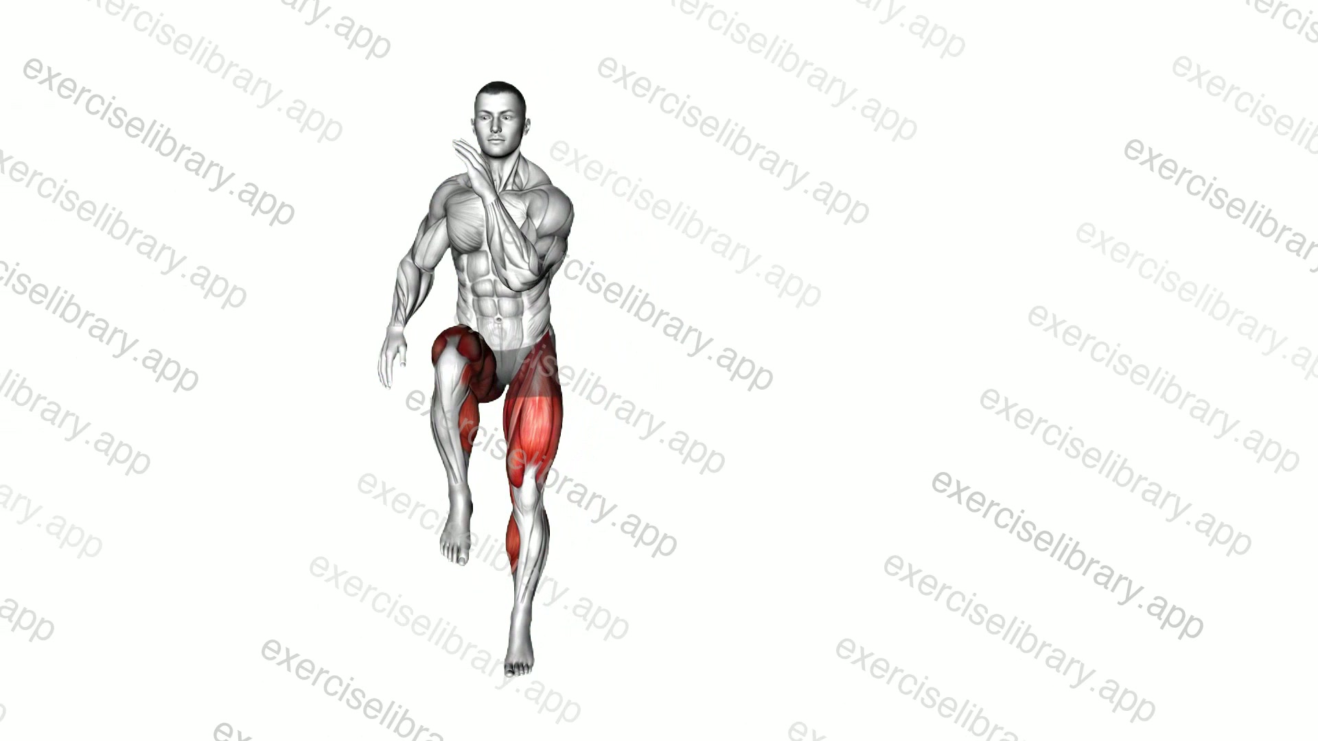 Double High Knee Side Hop demonstration