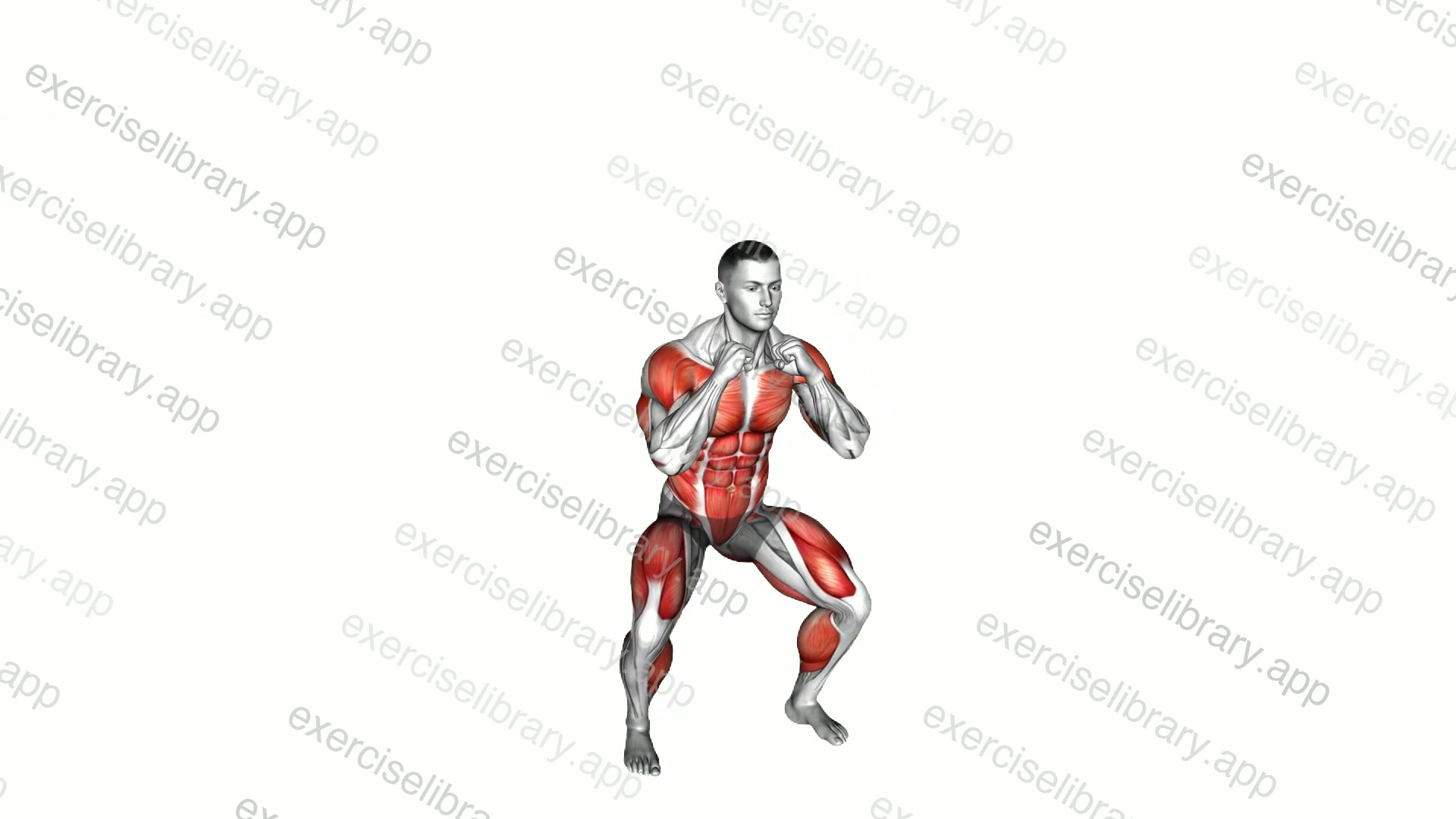 Duck and Forward Punches demonstration