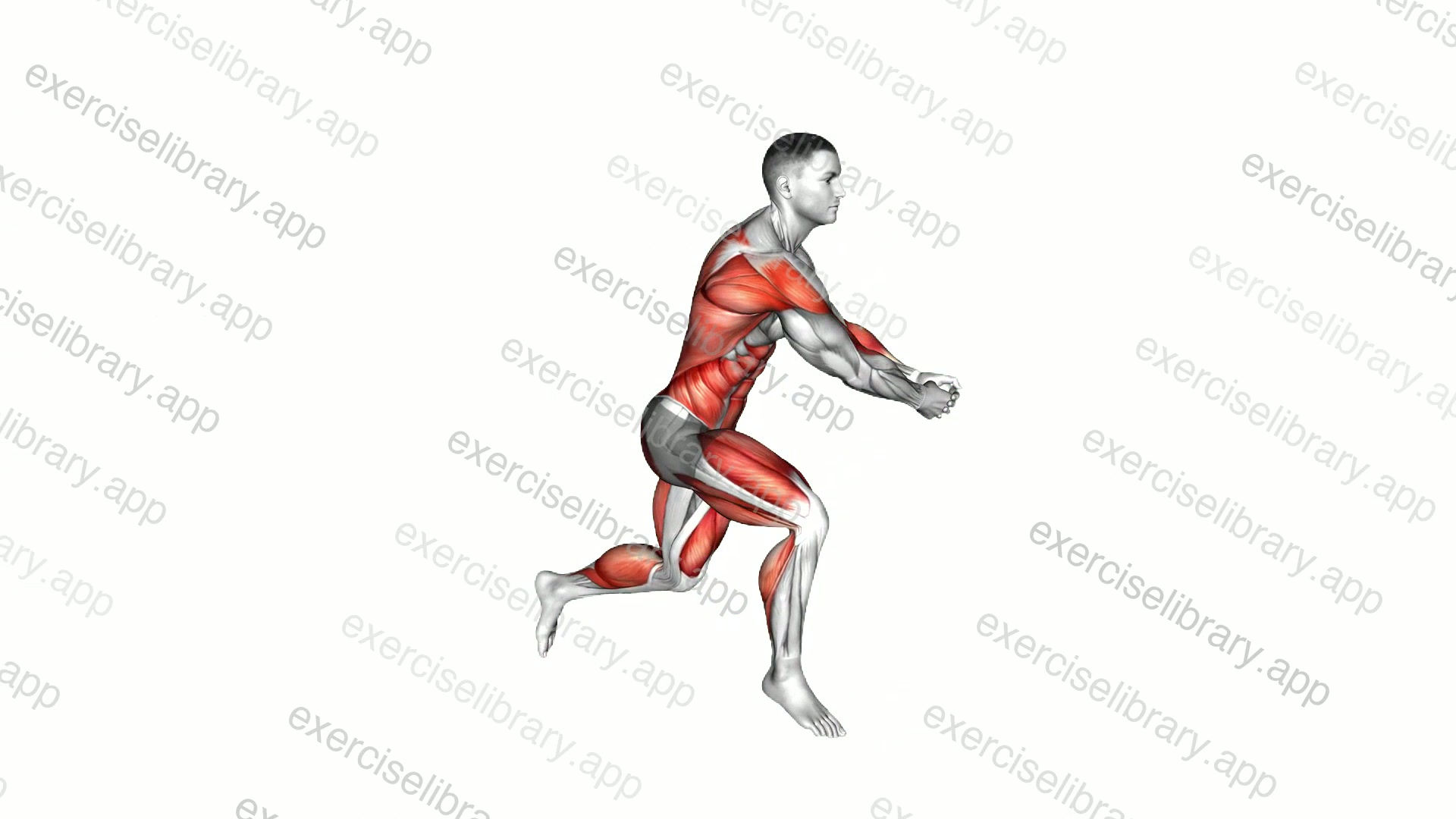 Split Jump Twist Row demonstration
