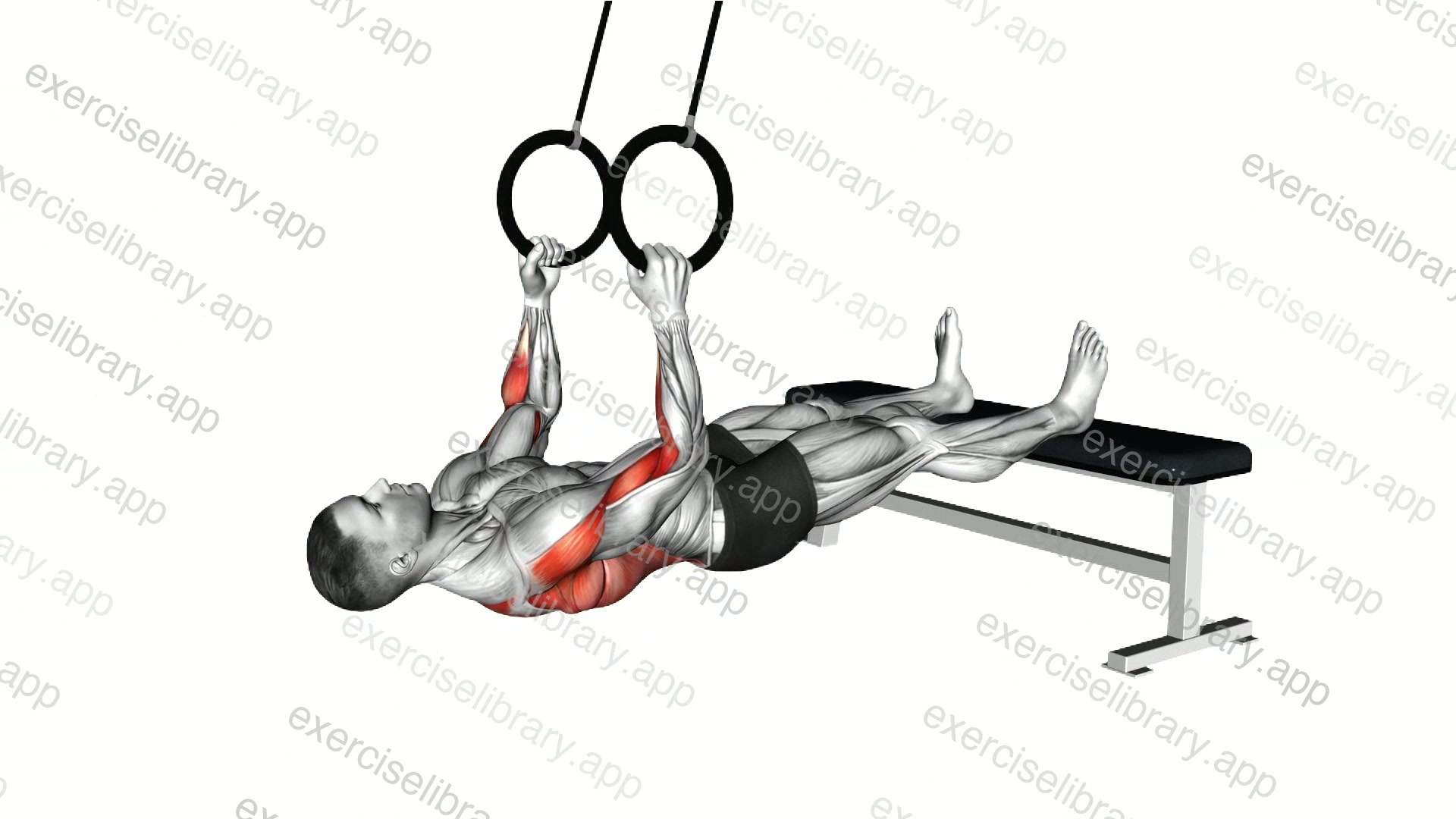 Ring Neutral Grip Inverted Row demonstration