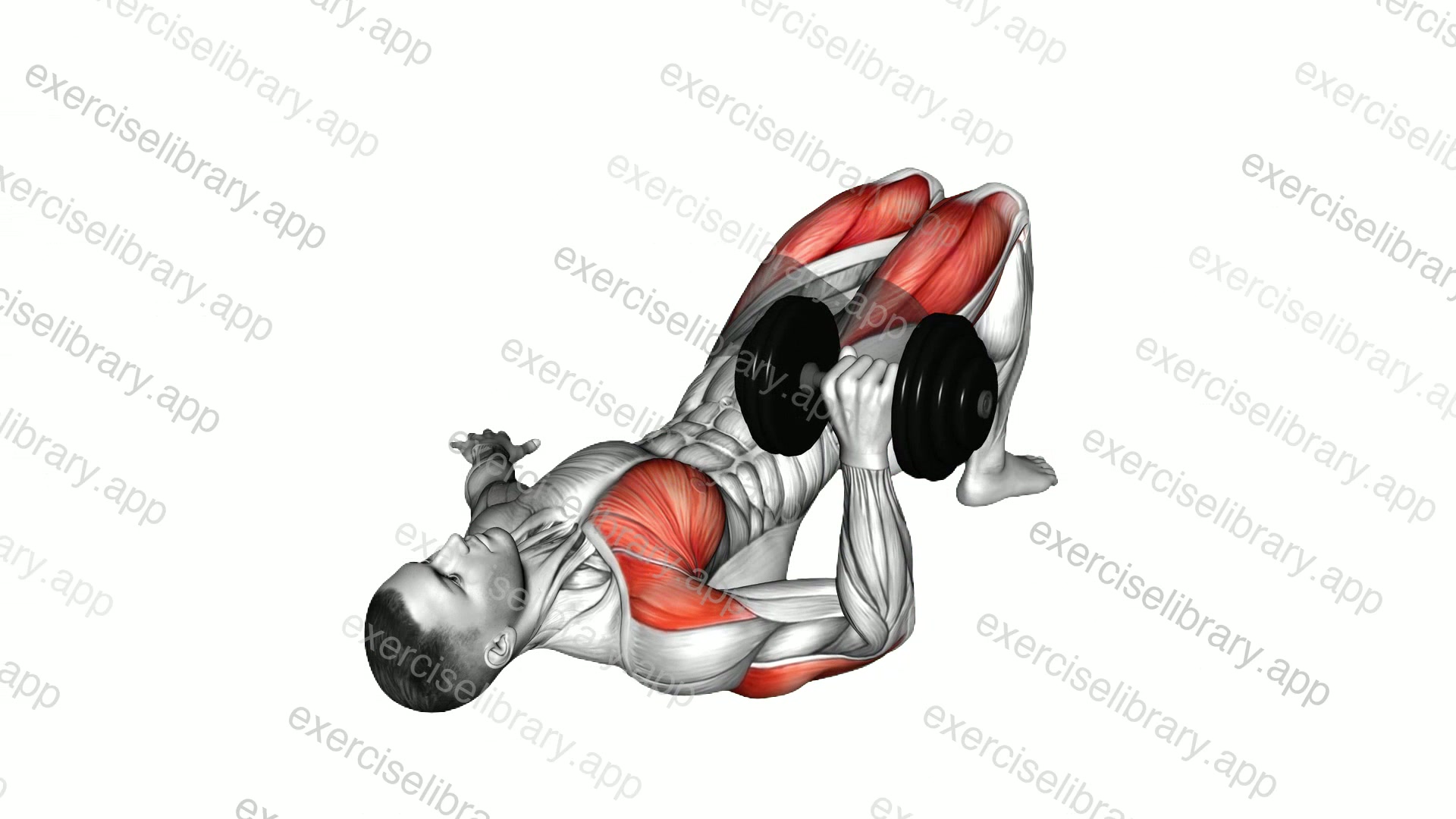 Dumbbell Glute Bridge Single Arm Chest Press demonstration