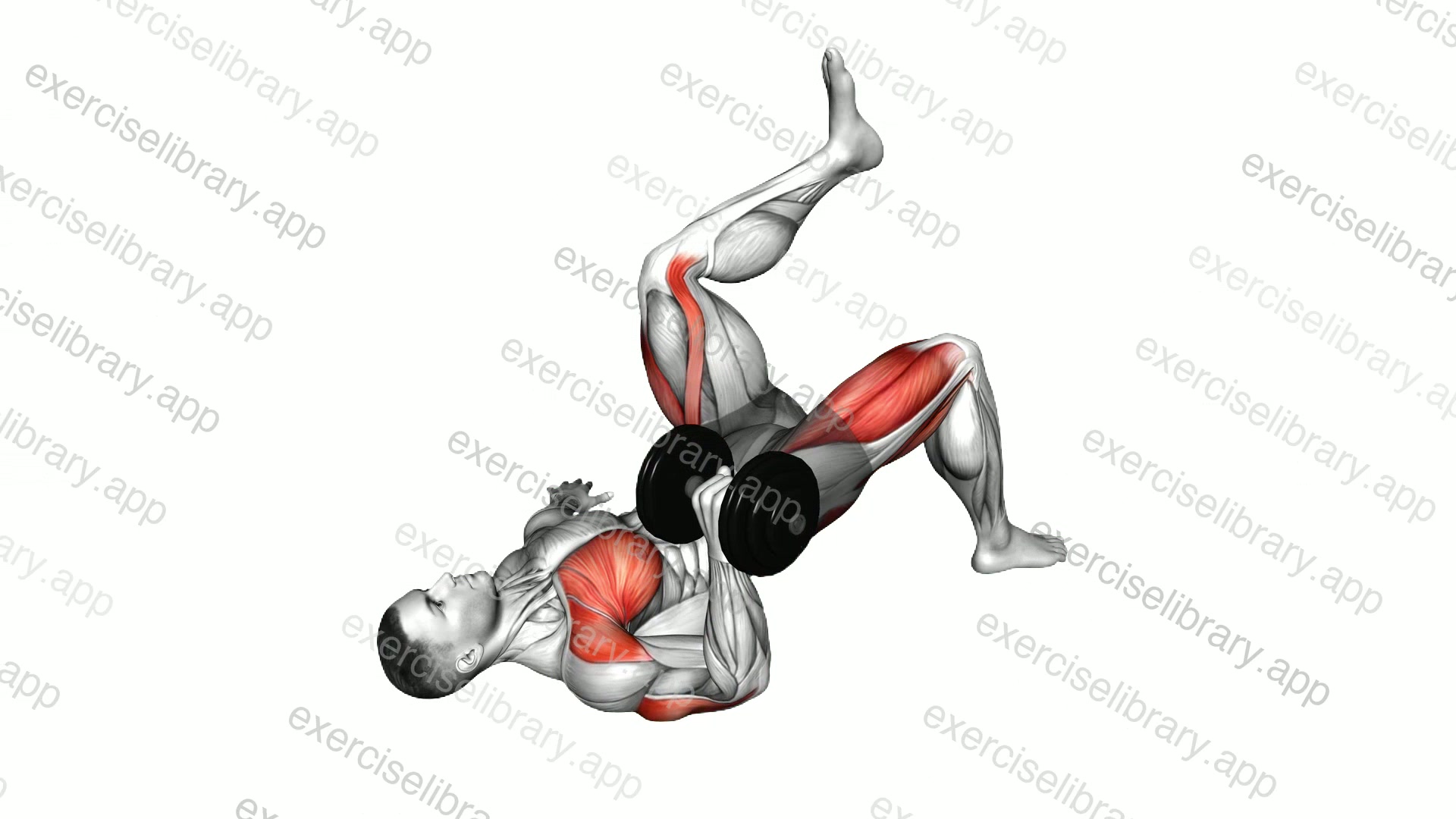 Dumbbell Contralateral Glute Bridge Single Arm Chest Press demonstration