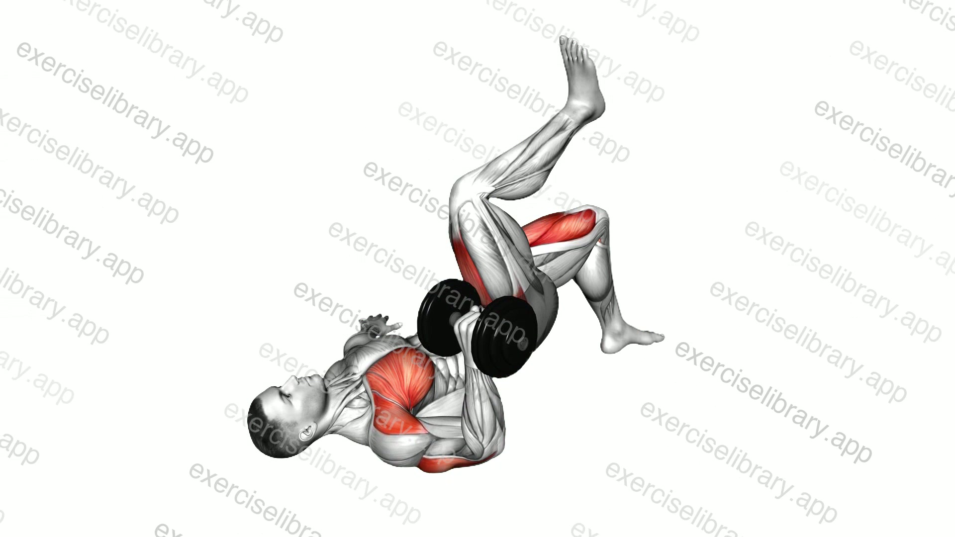 Dumbbell Ipsilateral Glute Bridge Single Arm Chest Press demonstration
