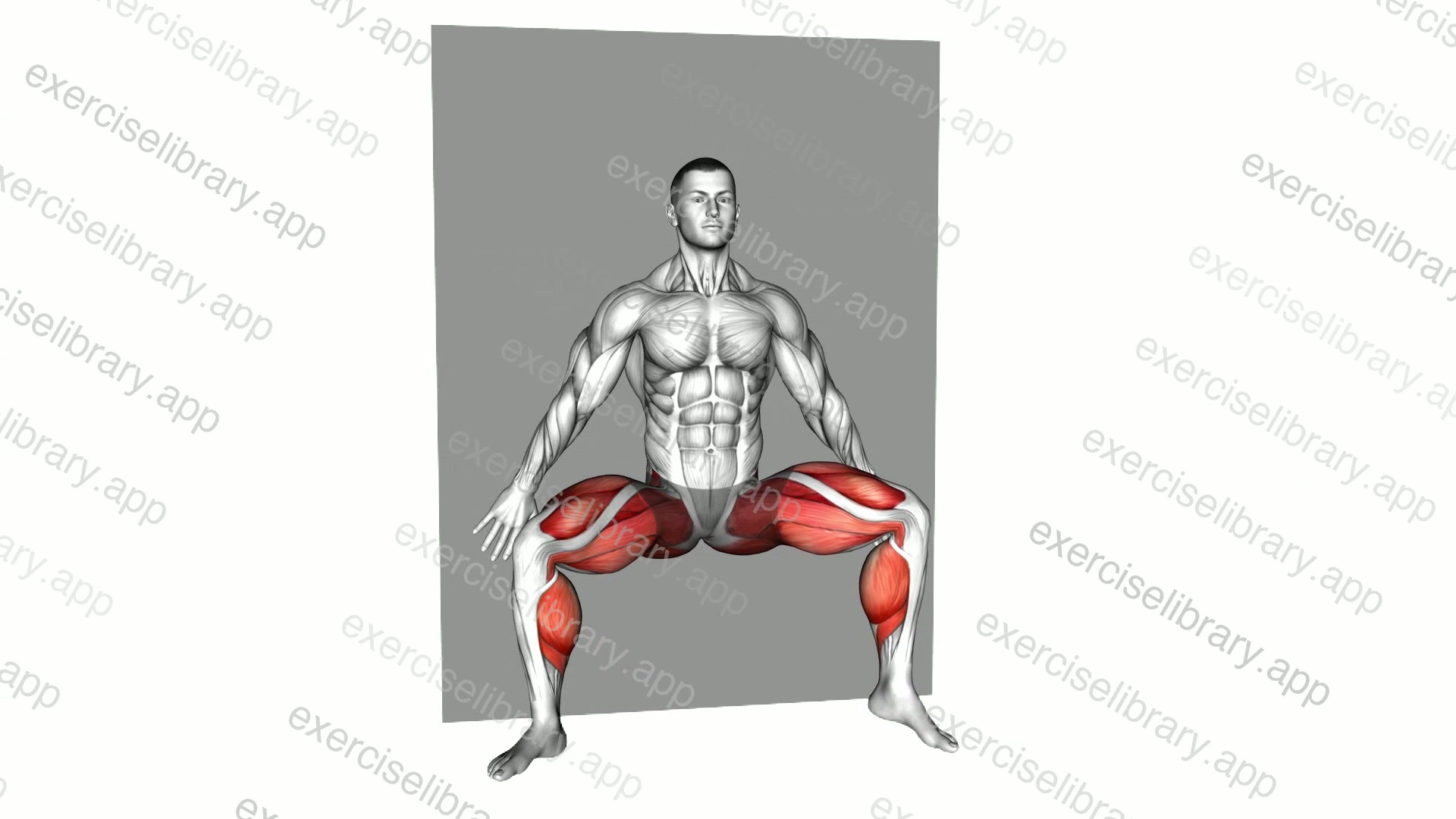 Half Squat Wall Tip Toe demonstration