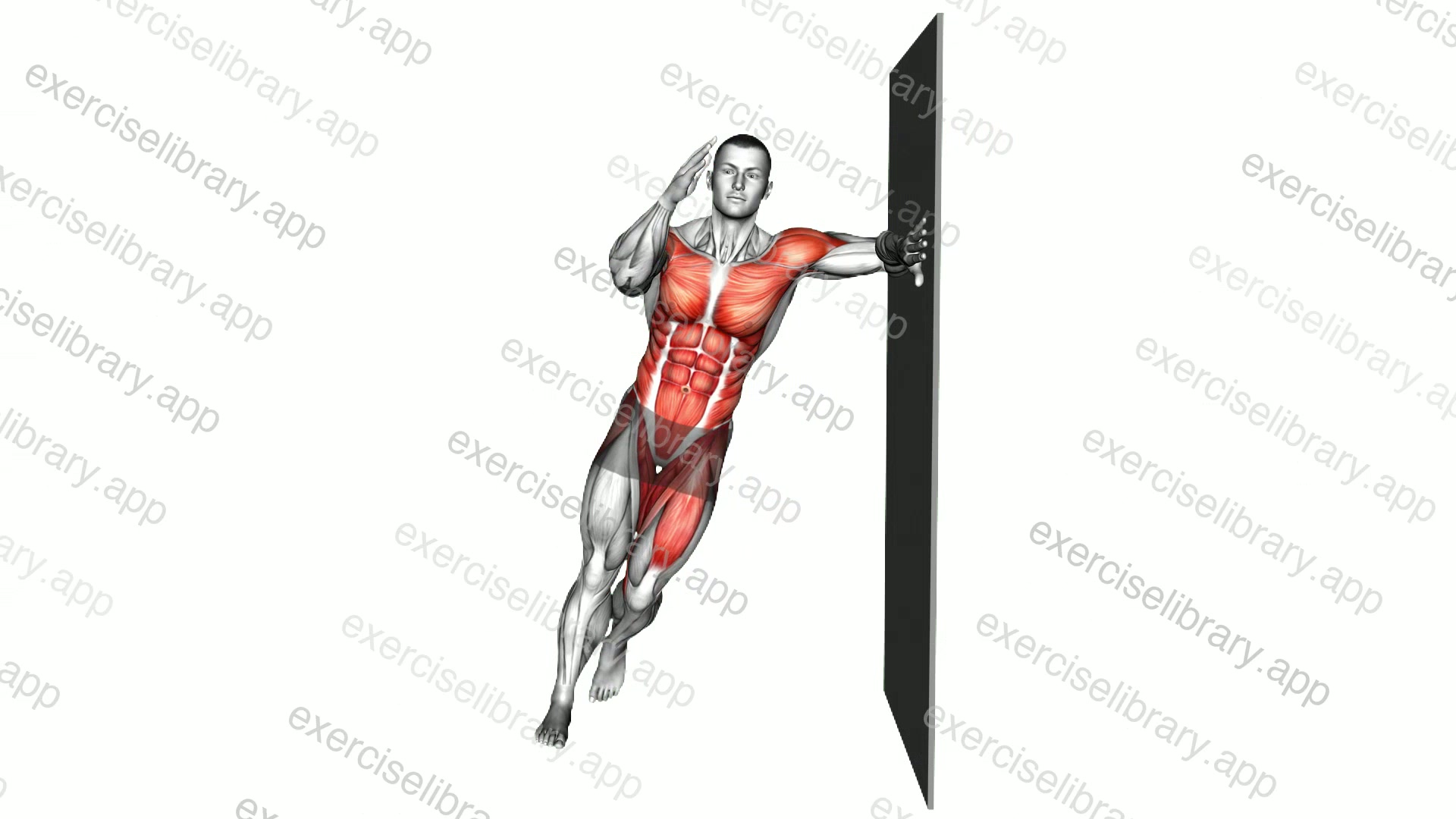 Side Plank Single Knee Drive demonstration