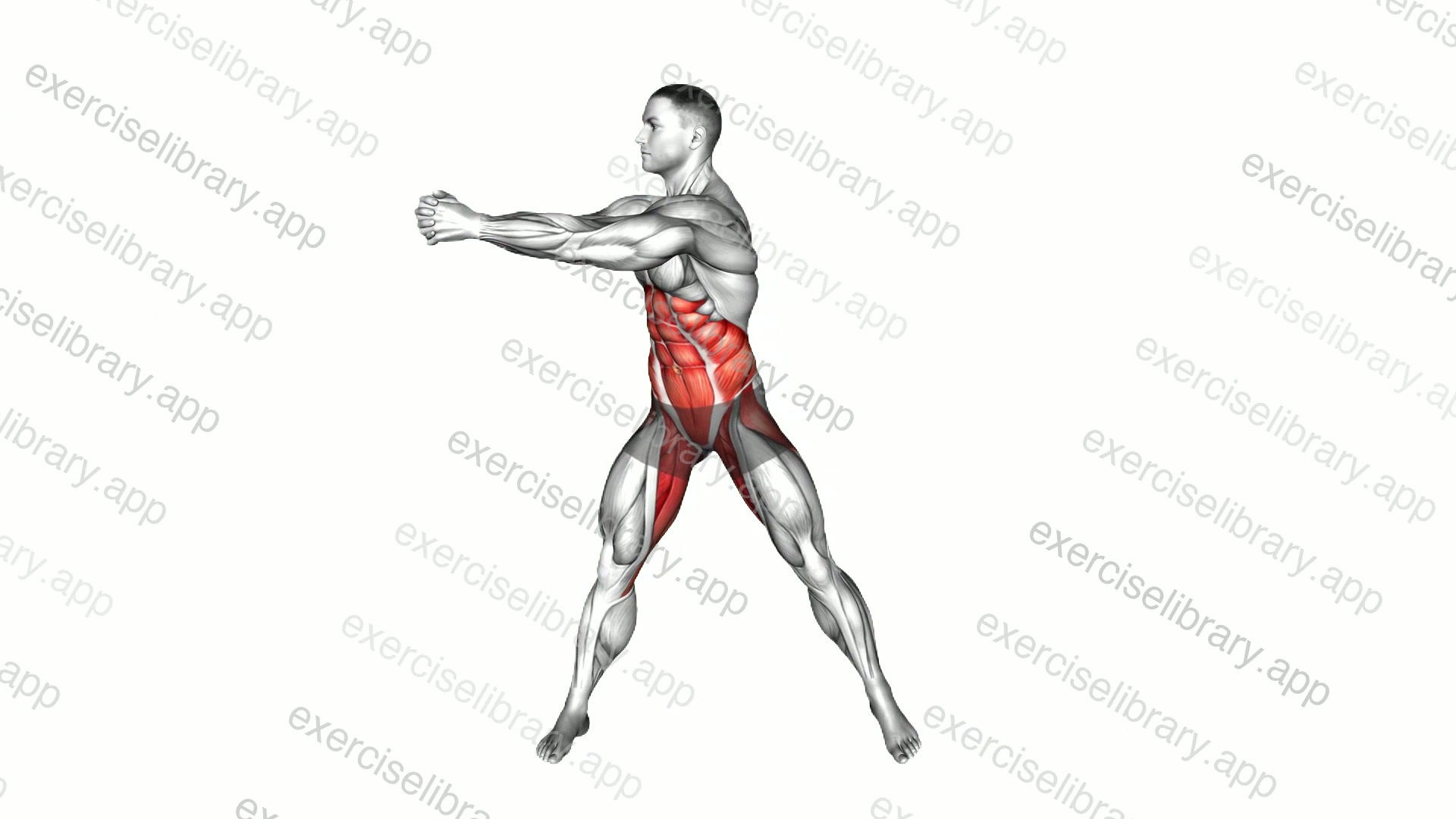 Swing Torso Twist demonstration