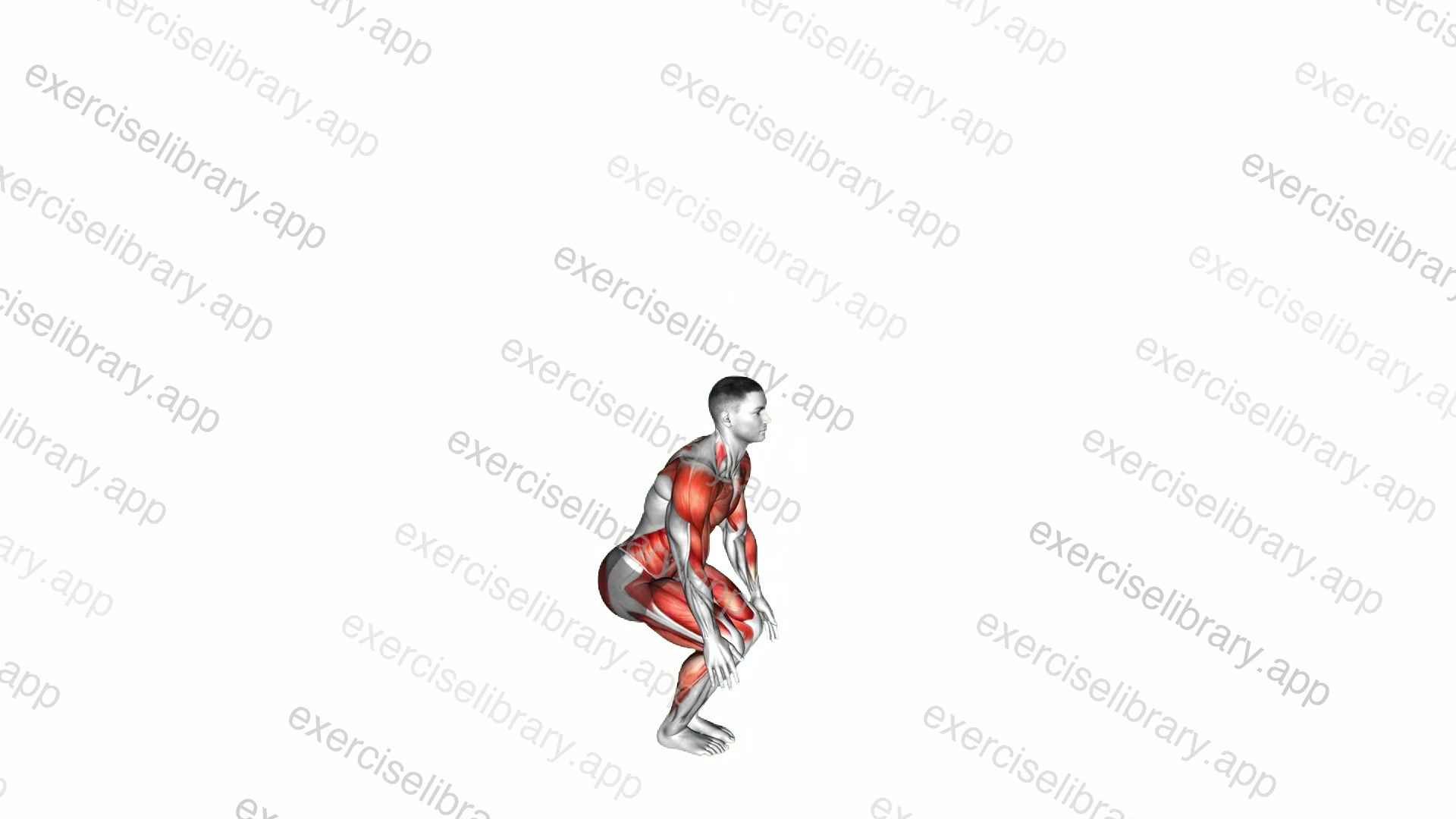 Burpee Two Star Jumps demonstration