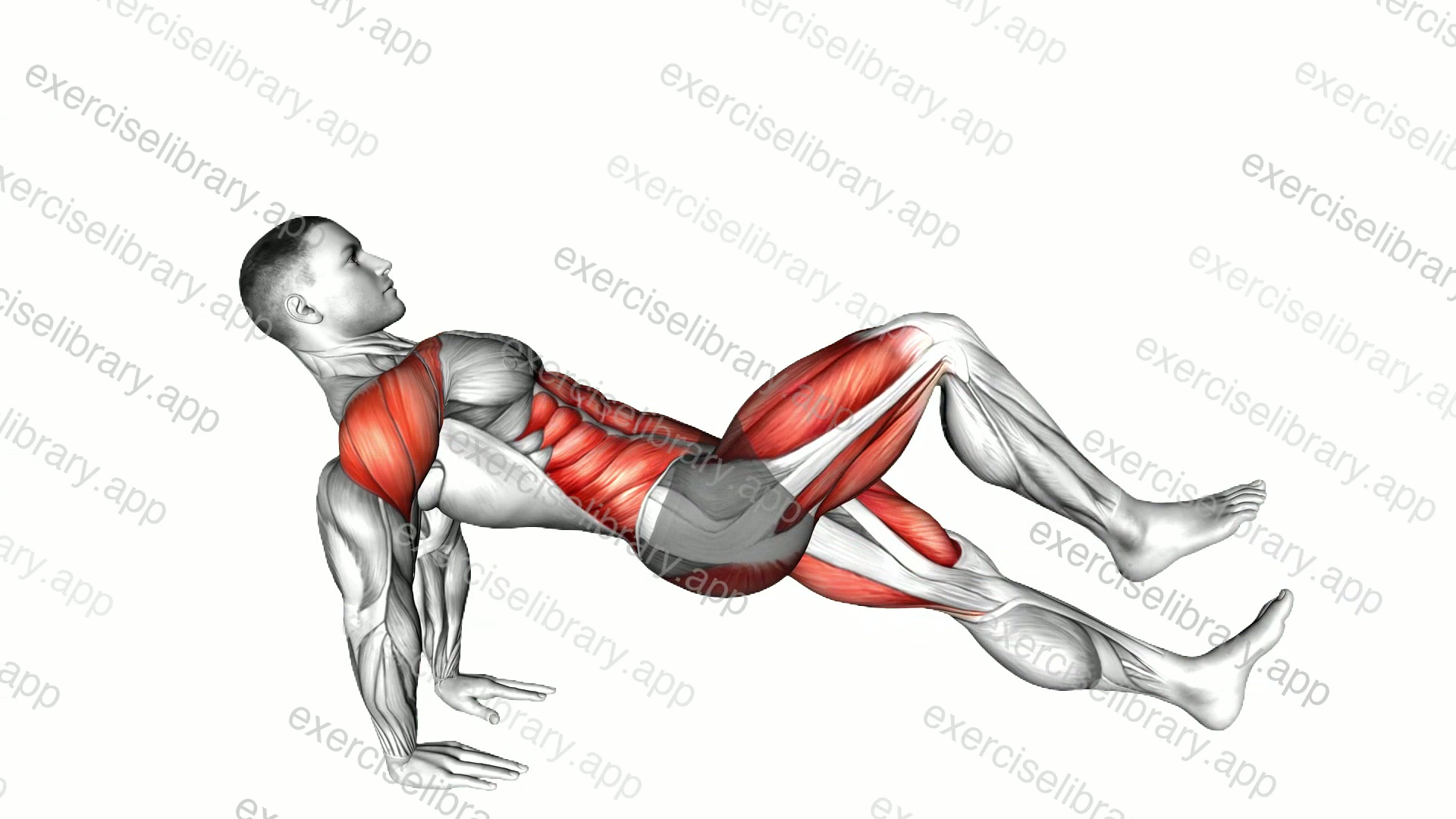 Reverse Plank March demonstration