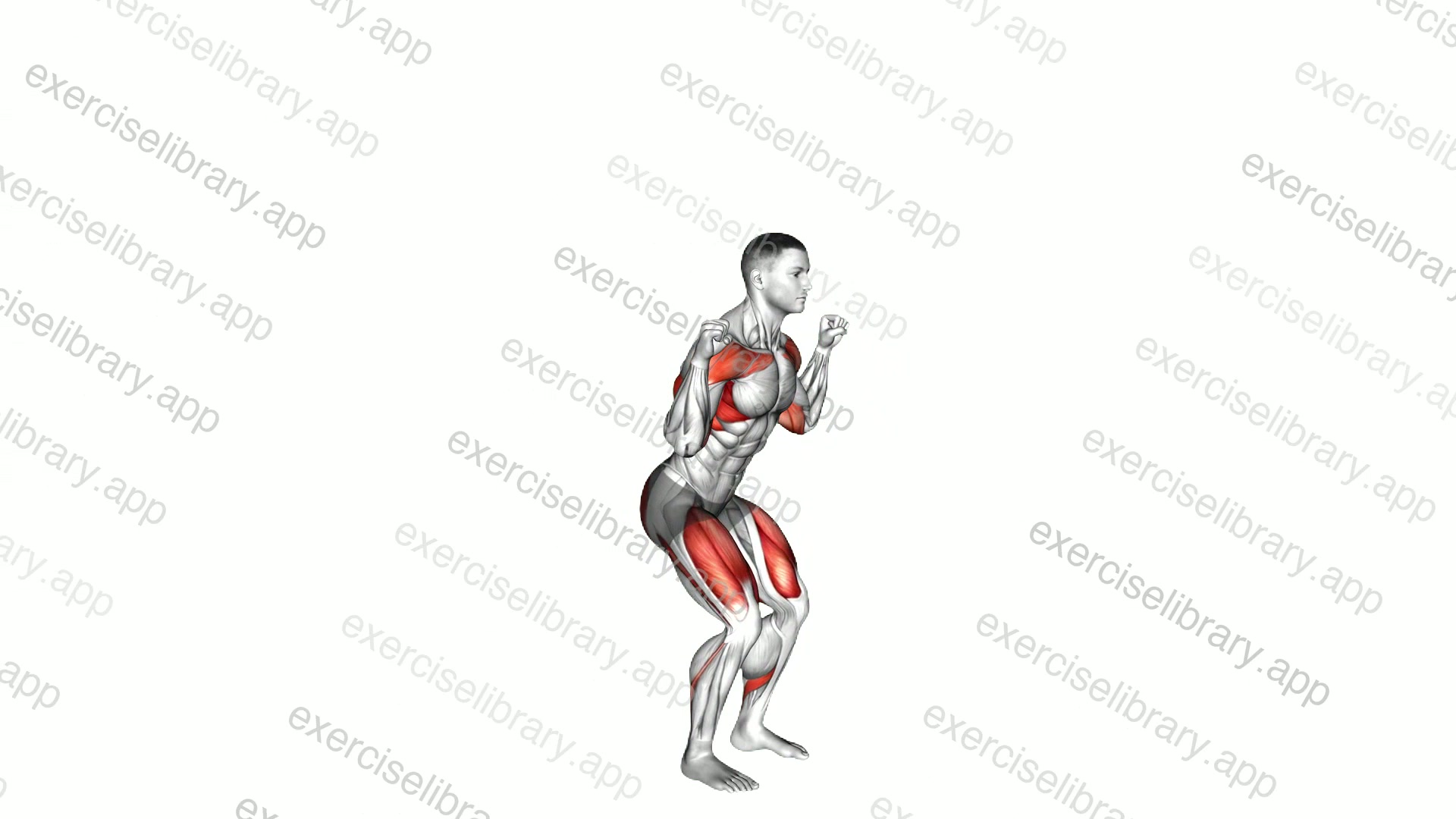 Squat Press-up demonstration