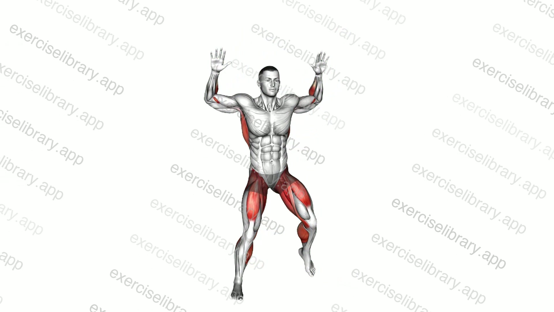 Alternating Hamstring Curl Pulldown demonstration