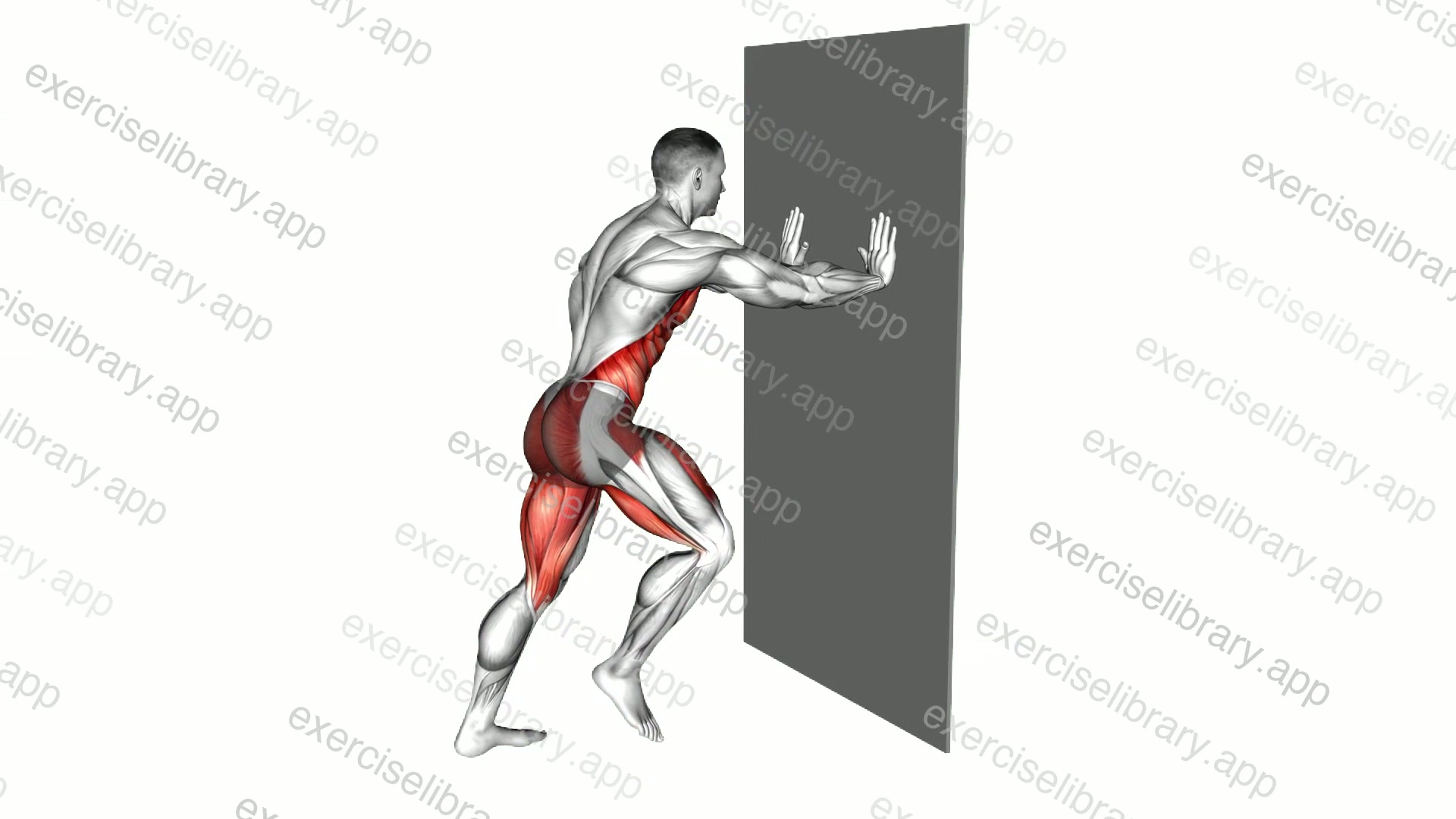 Side Crunch against Wall demonstration
