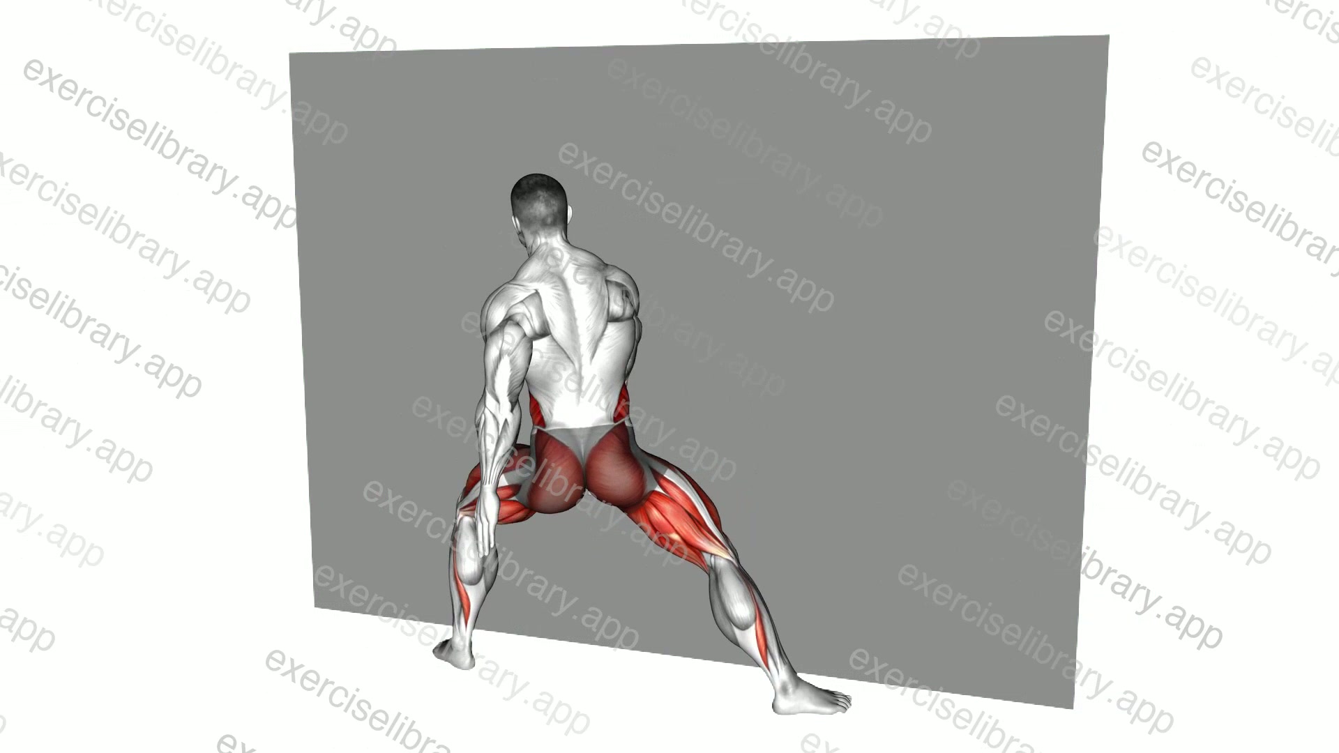 Wall Side Lunge Torso Rotation demonstration