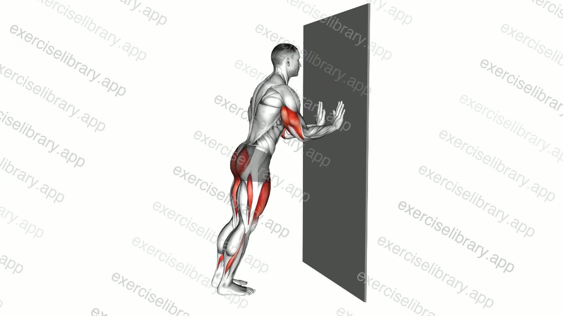 Push-up Alternate Rear Lunge against Wall demonstration
