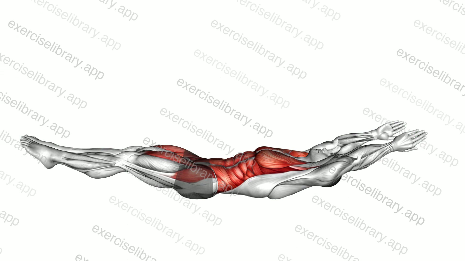 Hollow Body Hover demonstration