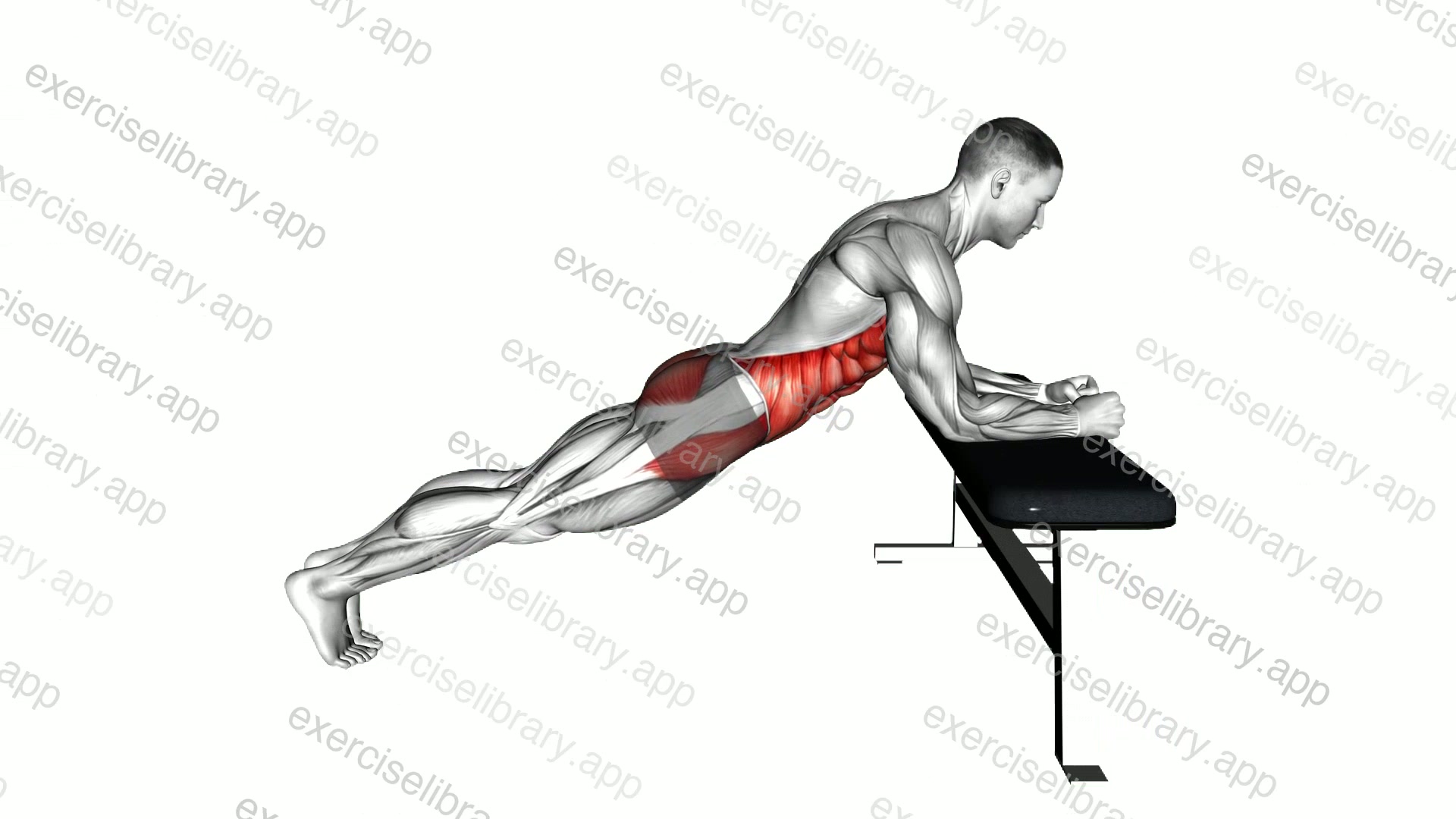 Incline Elbow Plank demonstration