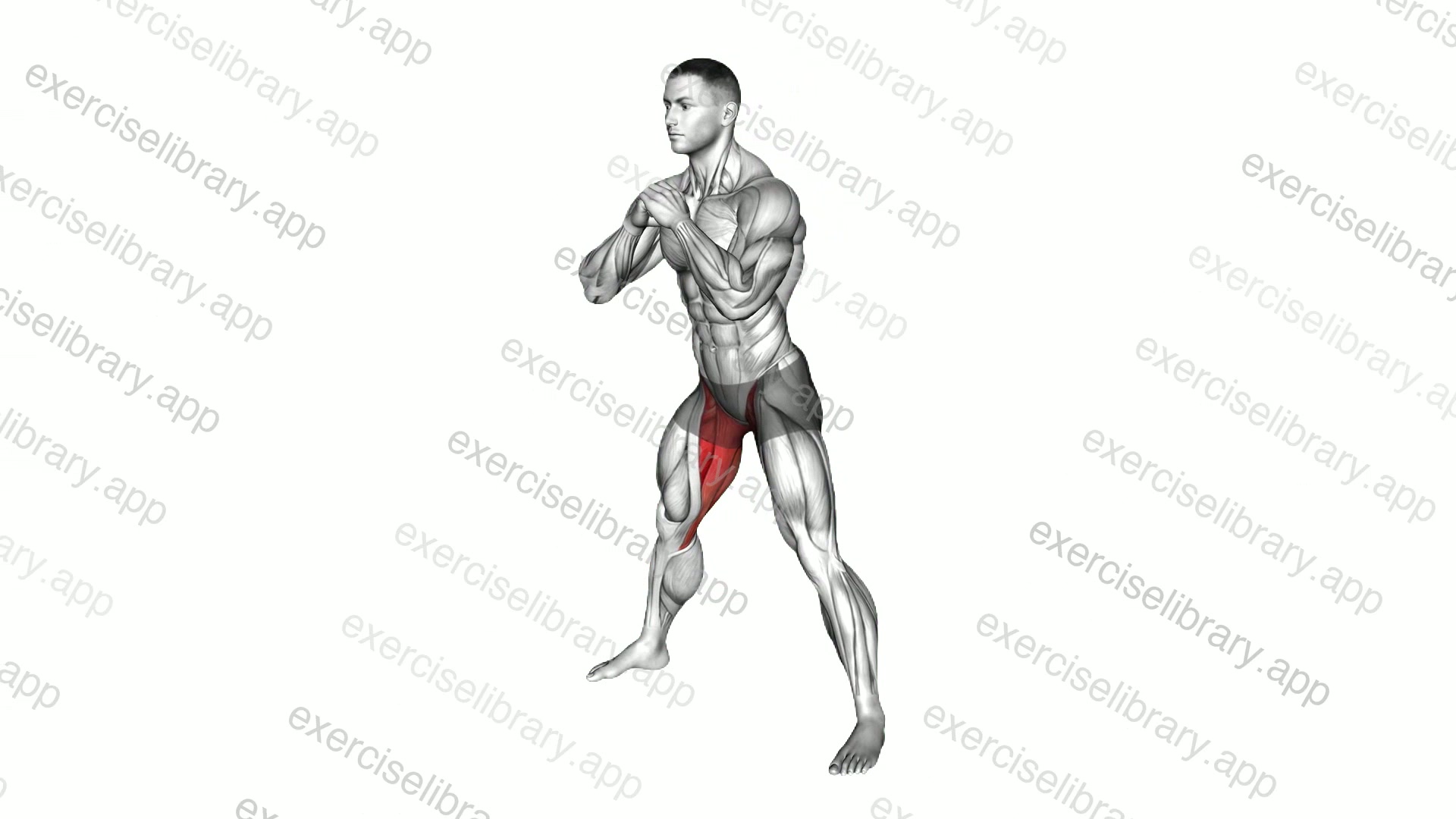 Adductors Stretch Sagittal Plane demonstration