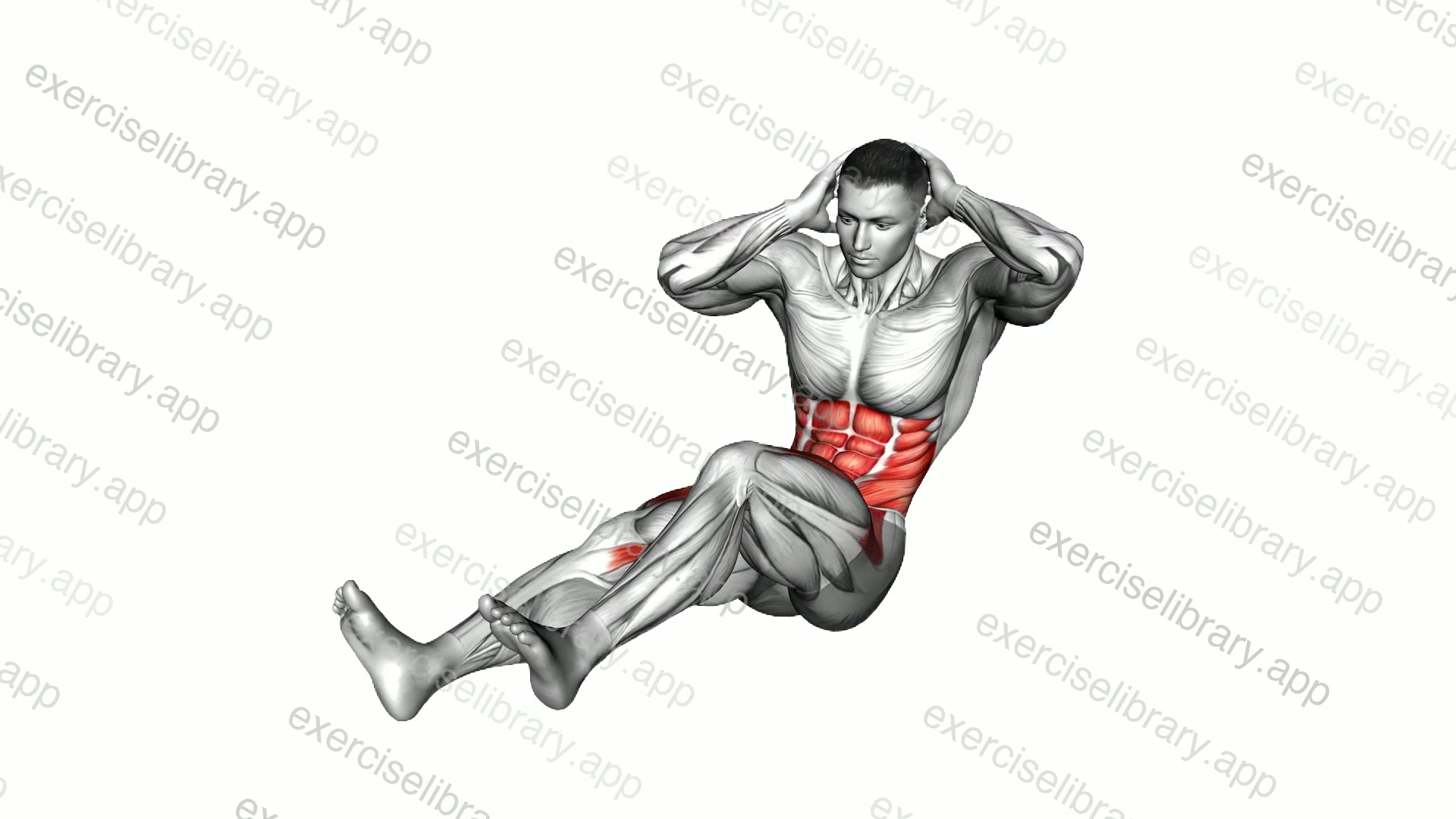 Sitting Alternate Knee to Elbow Twist demonstration