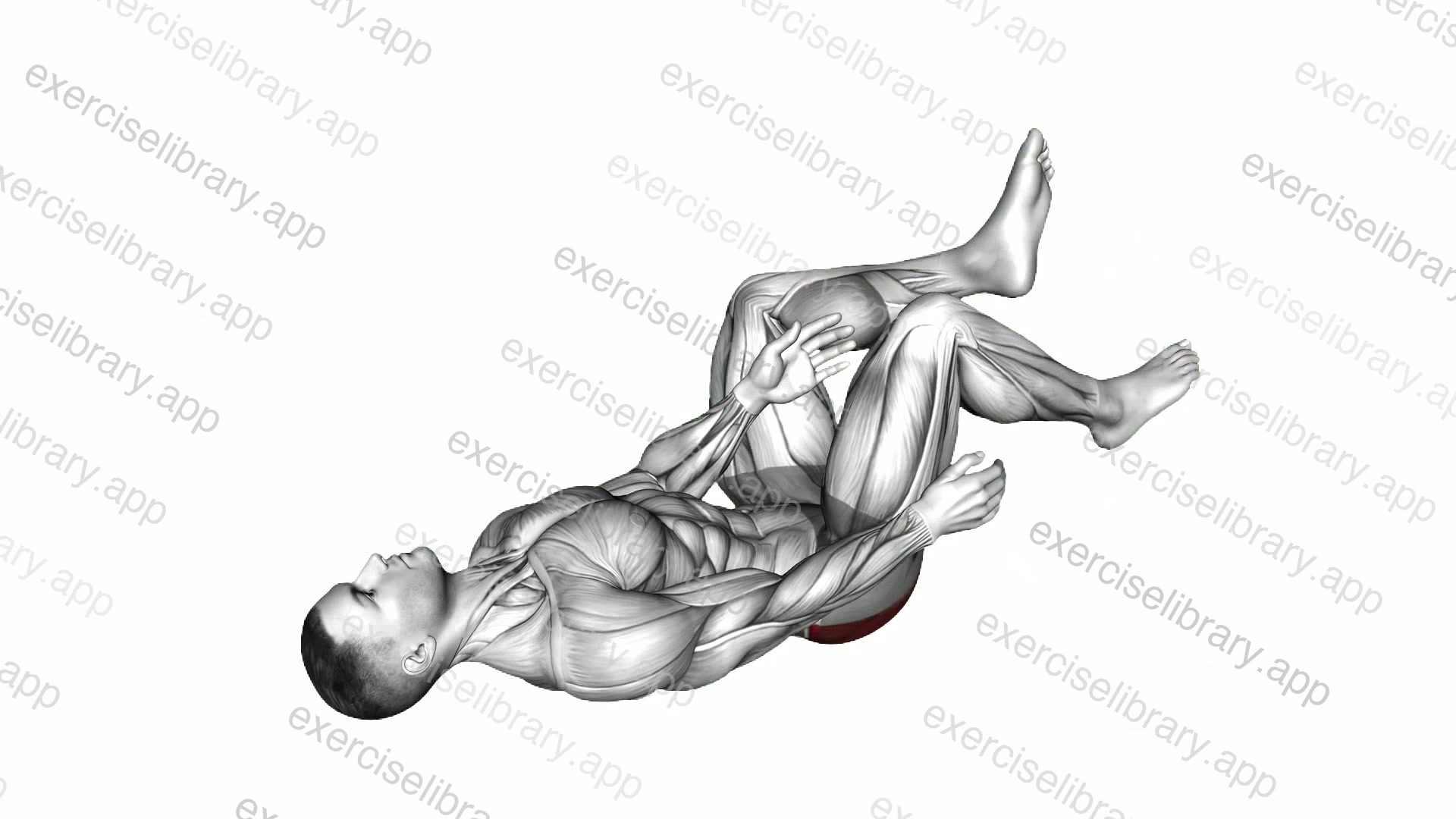 Lying Glute Stretch demonstration