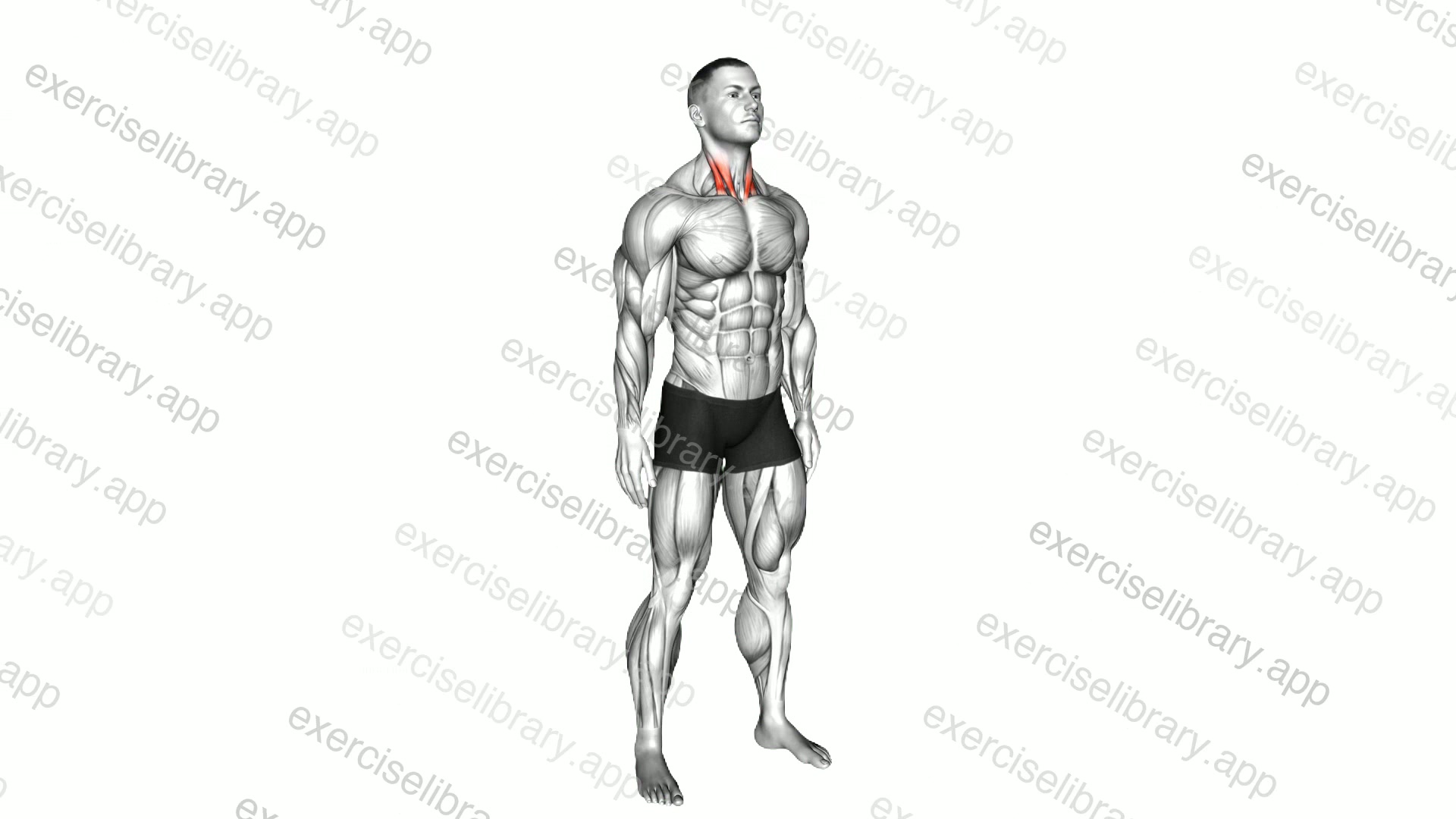 Backward Neck Stretch demonstration
