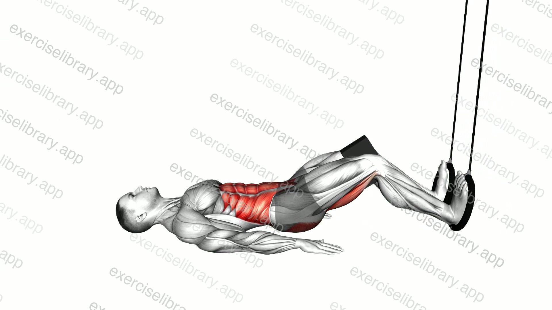 Ring Leg Curl with yoga block demonstration