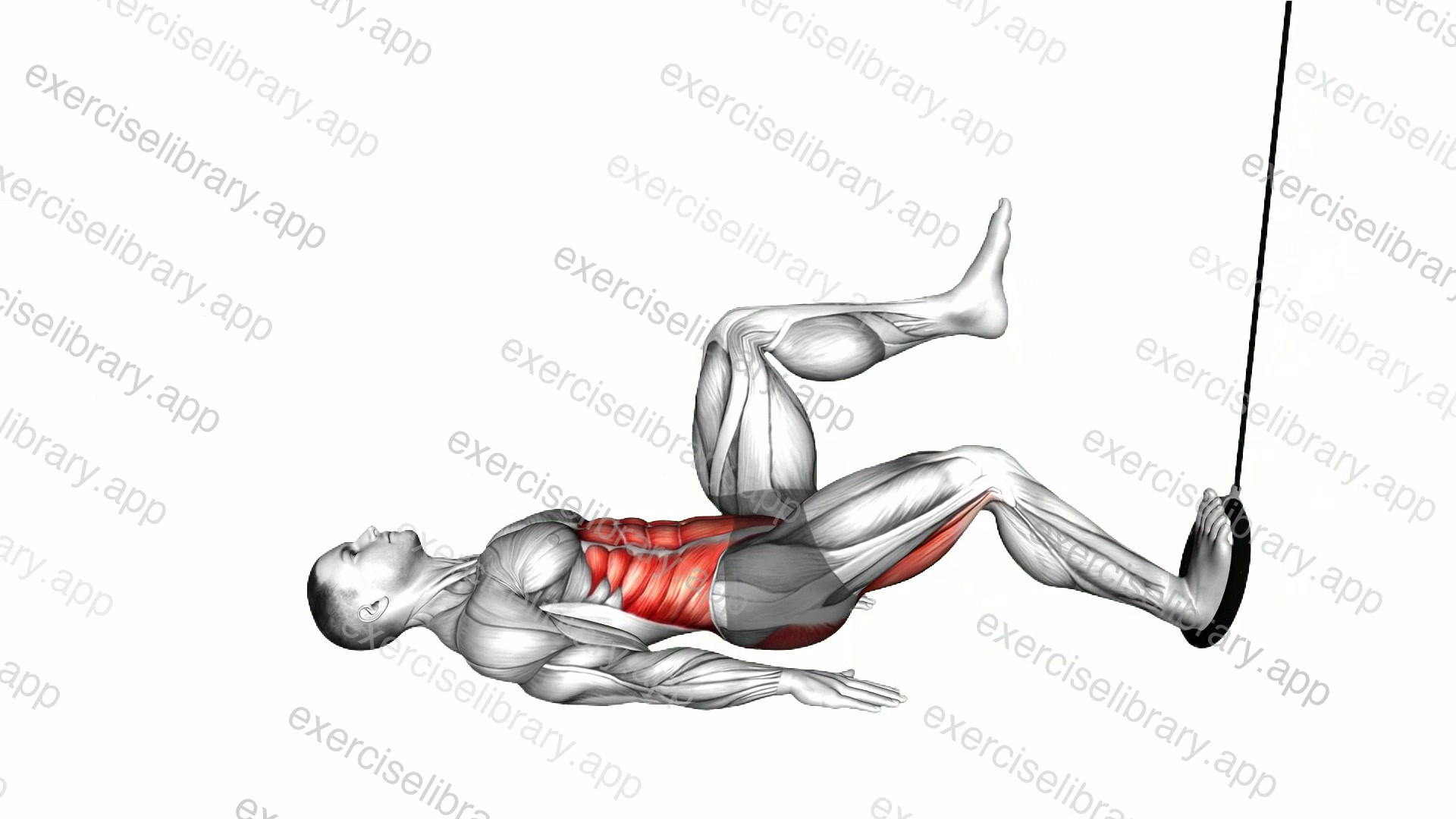 Ring Single Leg Curl demonstration