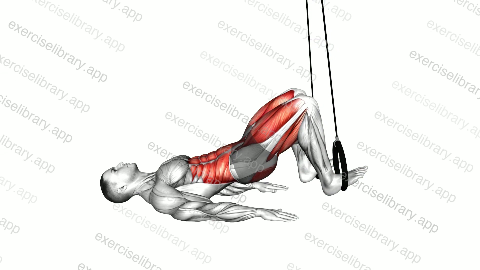 Ring Alternate Reverse Curl demonstration