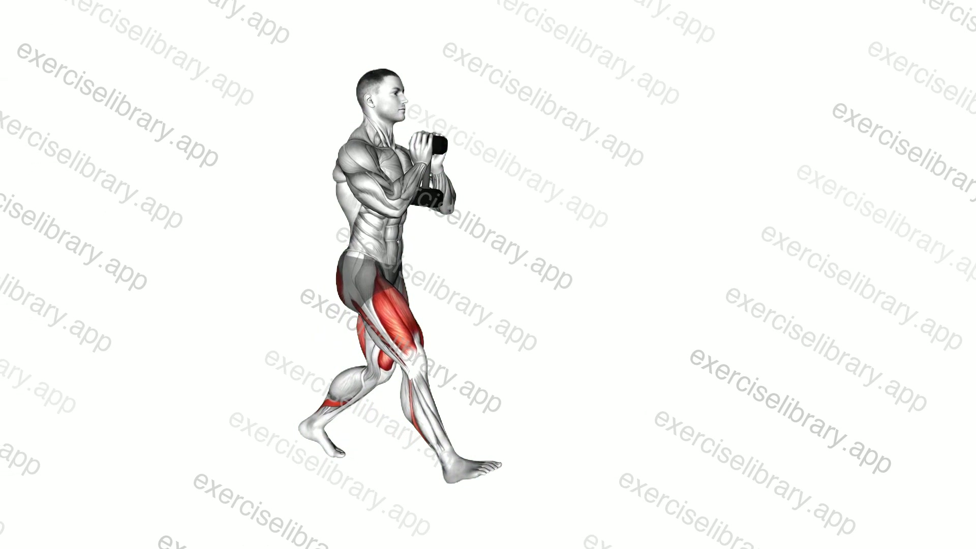 Dumbbell Goblet Walking Lunge demonstration