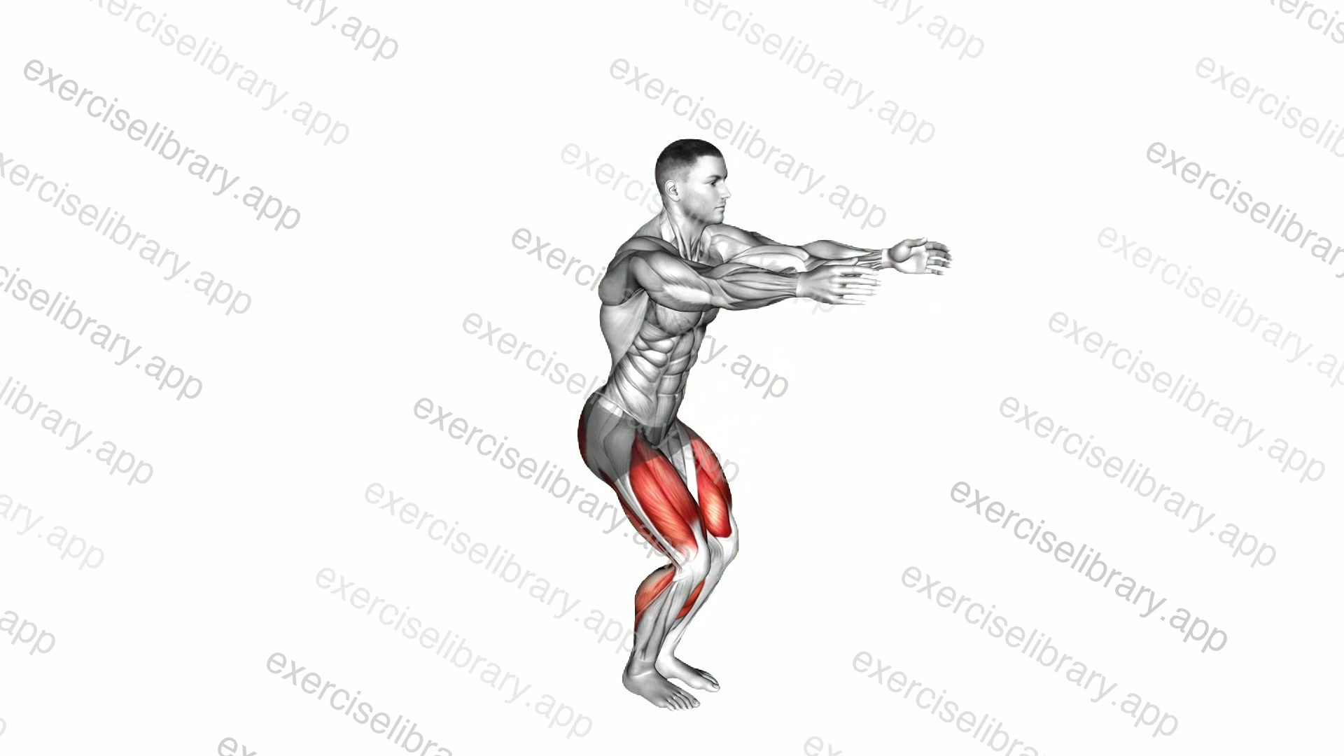 Squat and Tip Toes demonstration