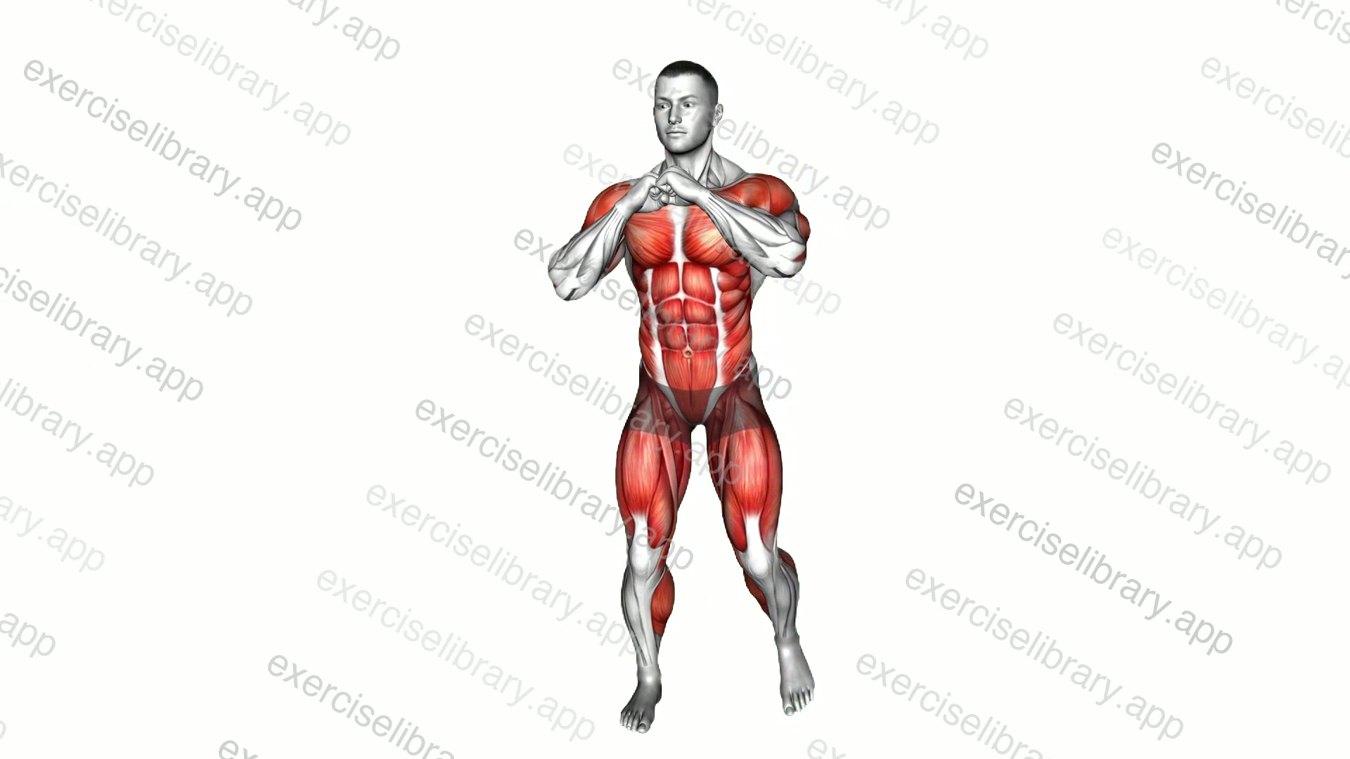 Side Step Diagonal Punches demonstration