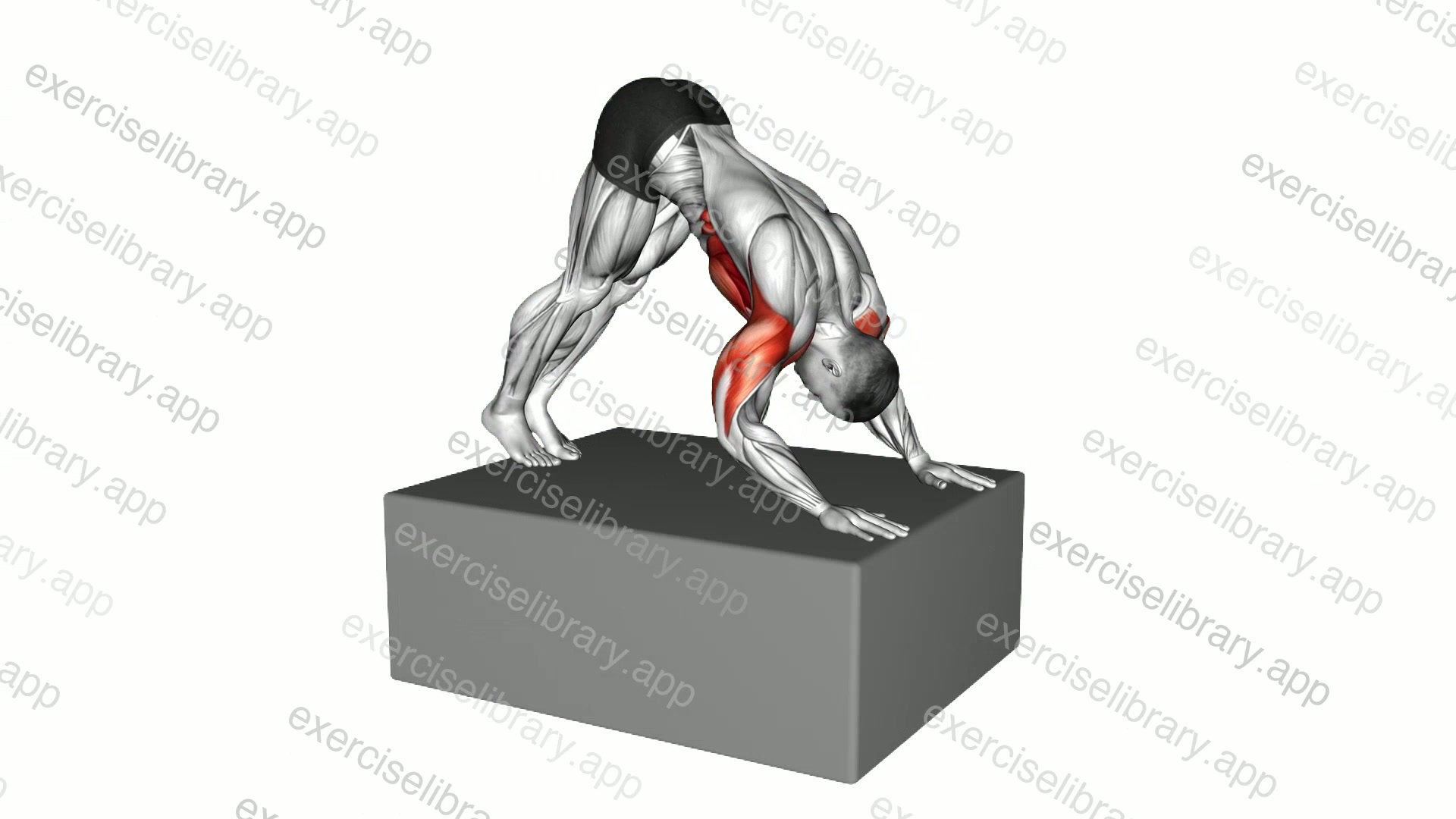 Pike Push-up from deficit demonstration