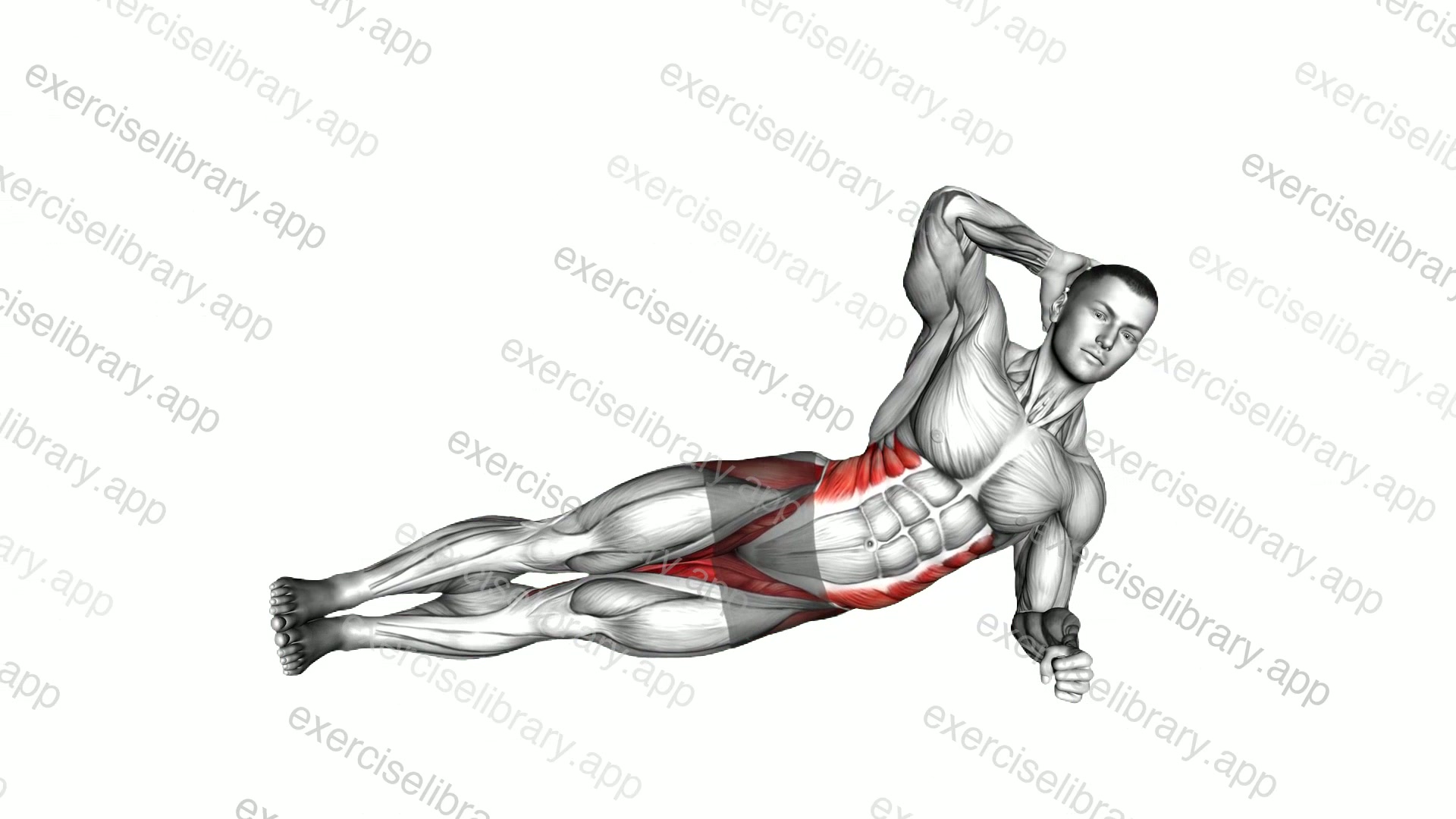 Side Plank Raise demonstration