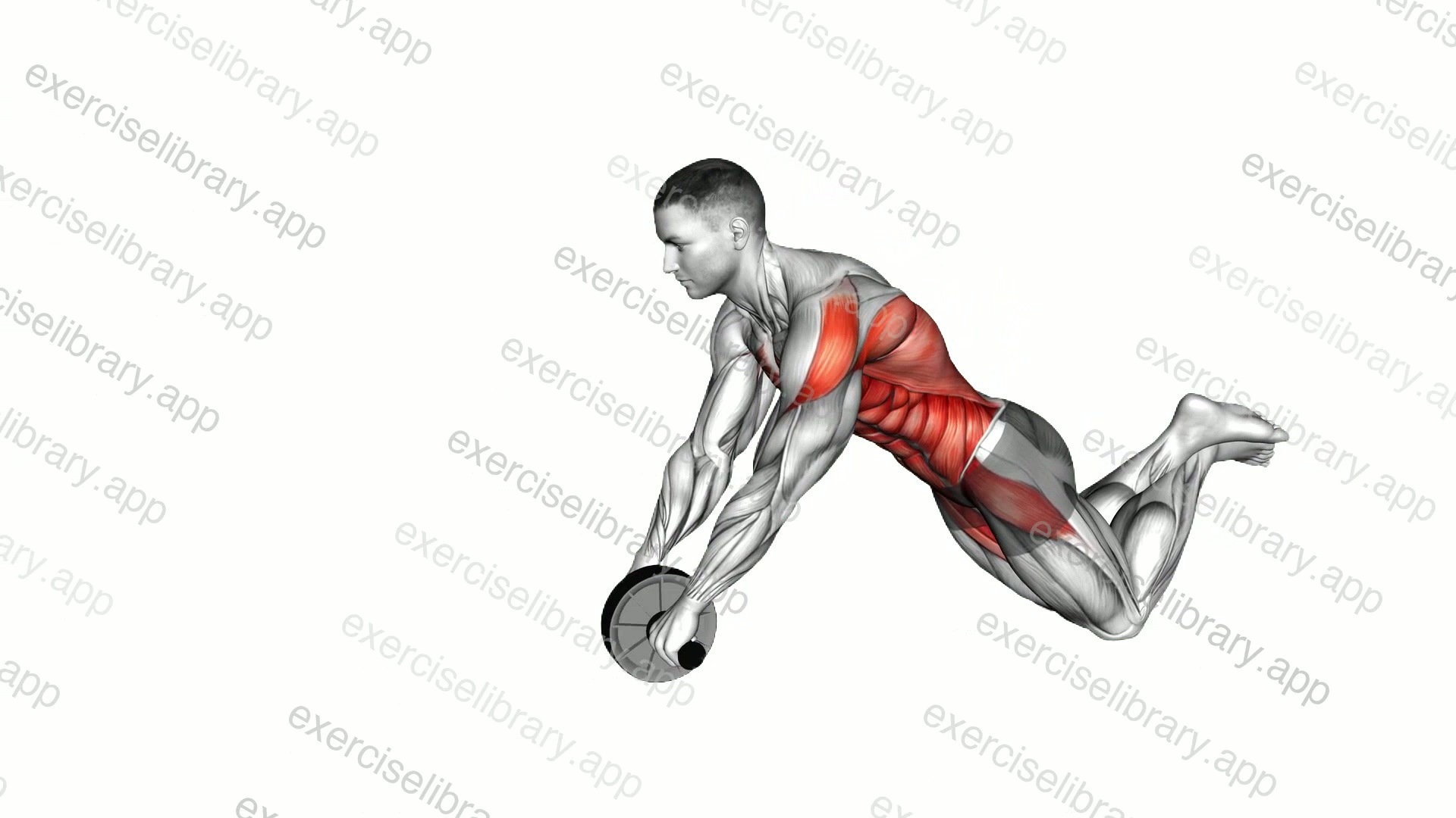 Kneeling Stay Forward Wheel Rollout demonstration