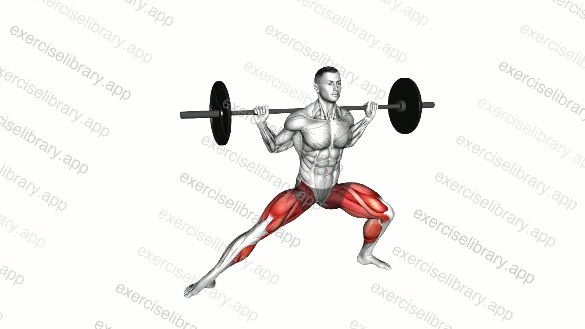 Barbell Cossack Squat demonstration