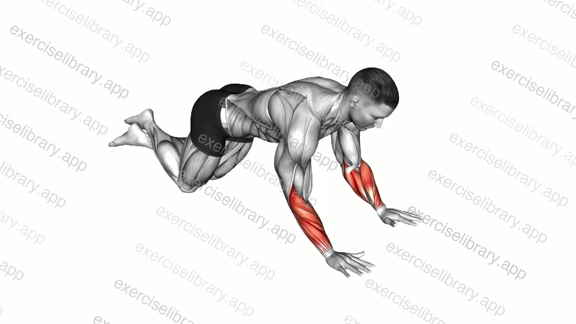 Kneeling Wrist Sinkers demonstration