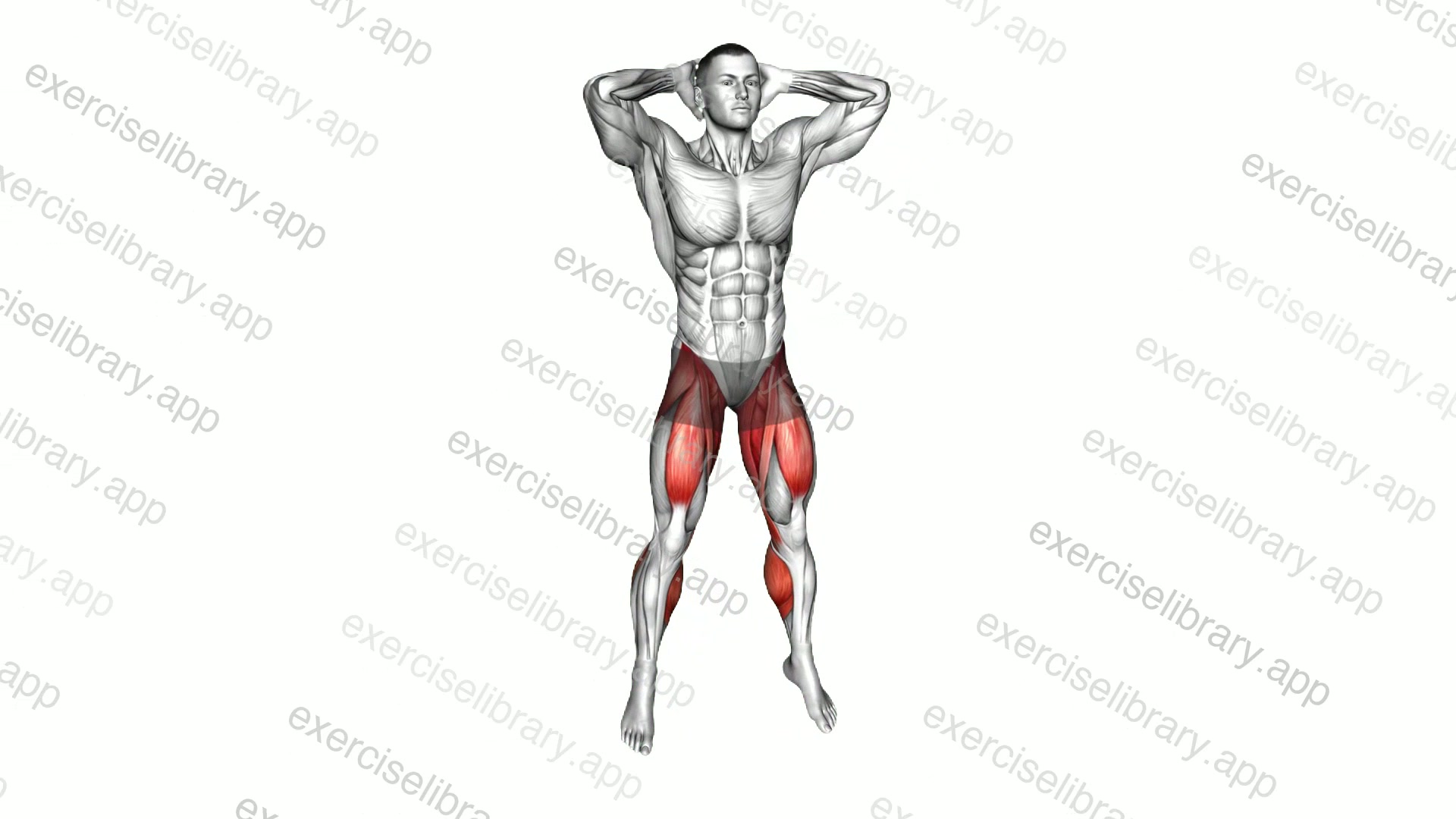 Half Jumping Jack demonstration