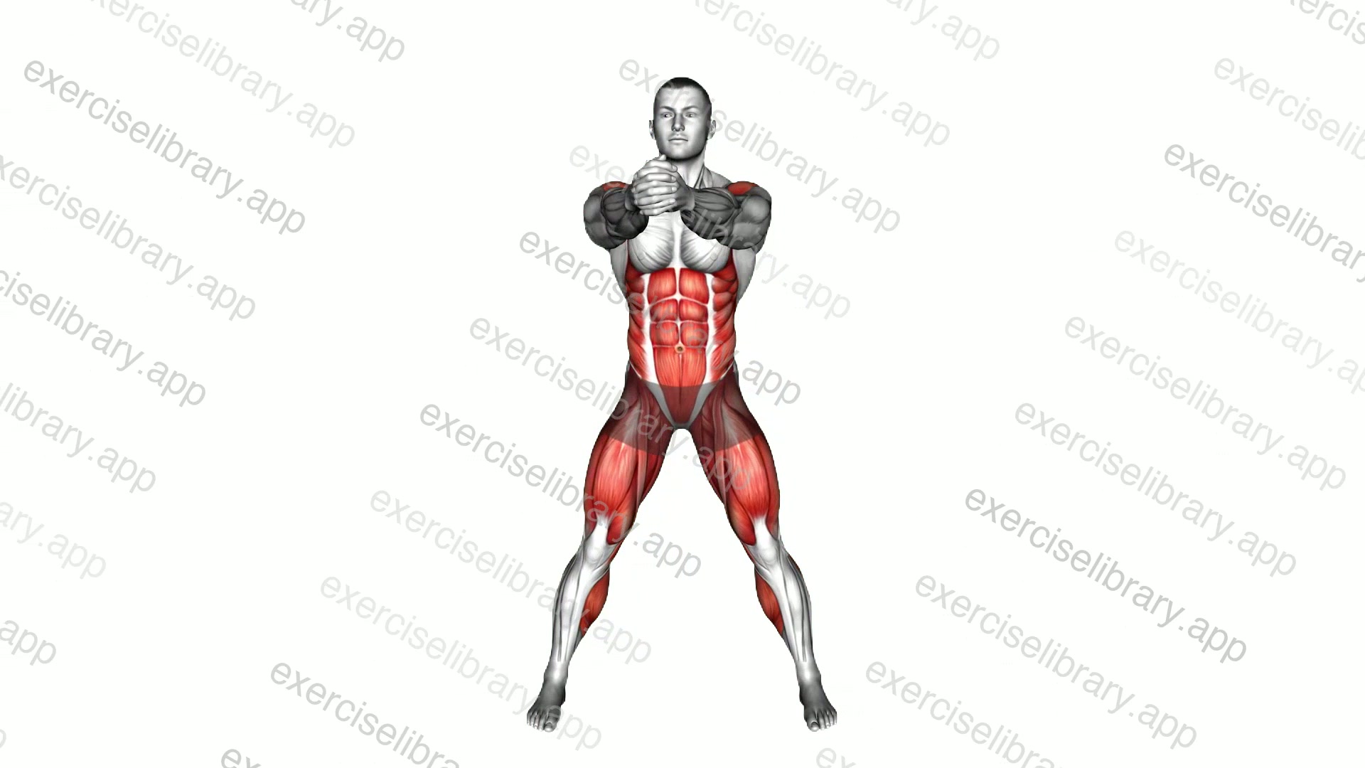 Chop Knee Raise demonstration