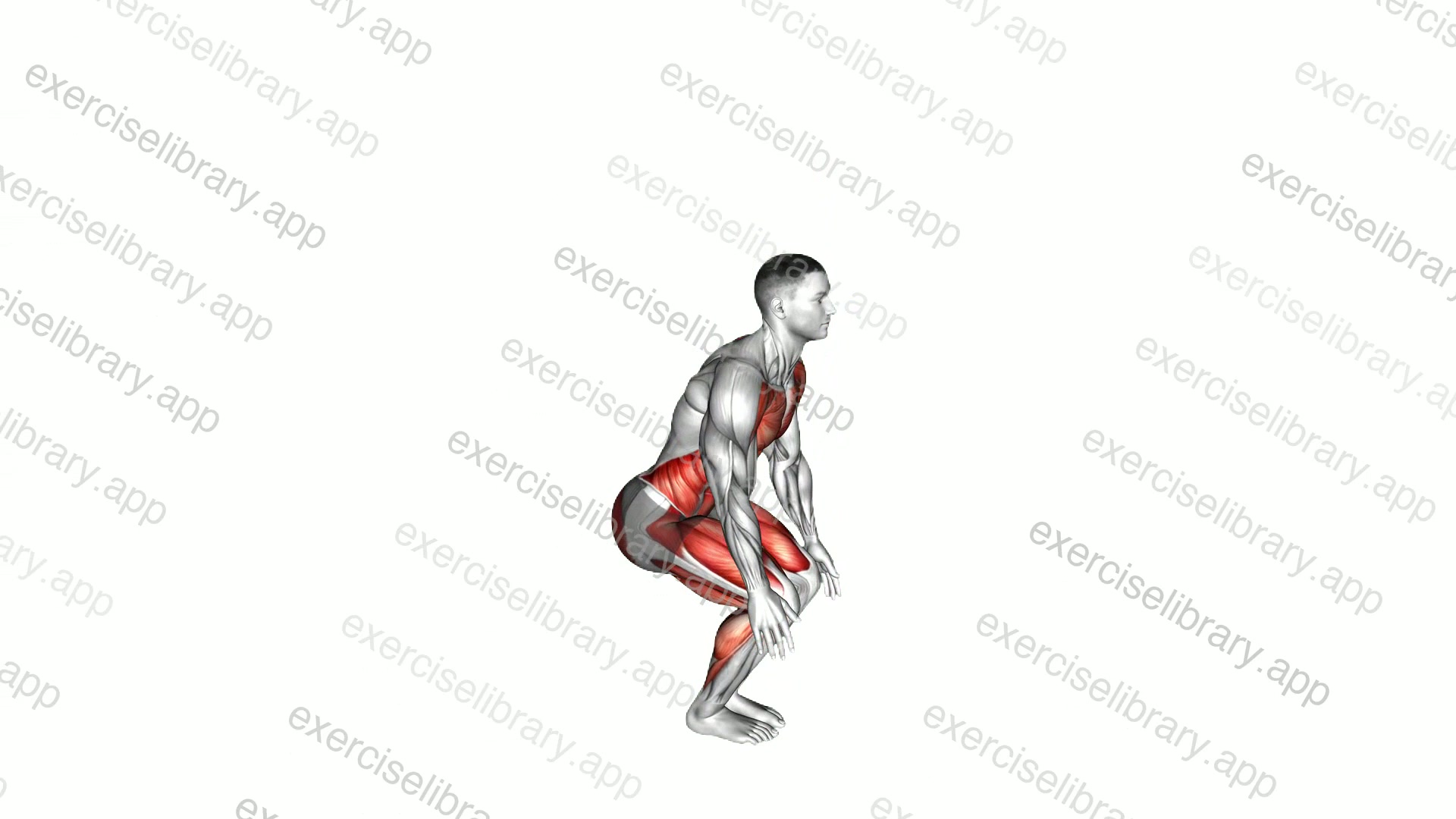 Jog and Drop demonstration