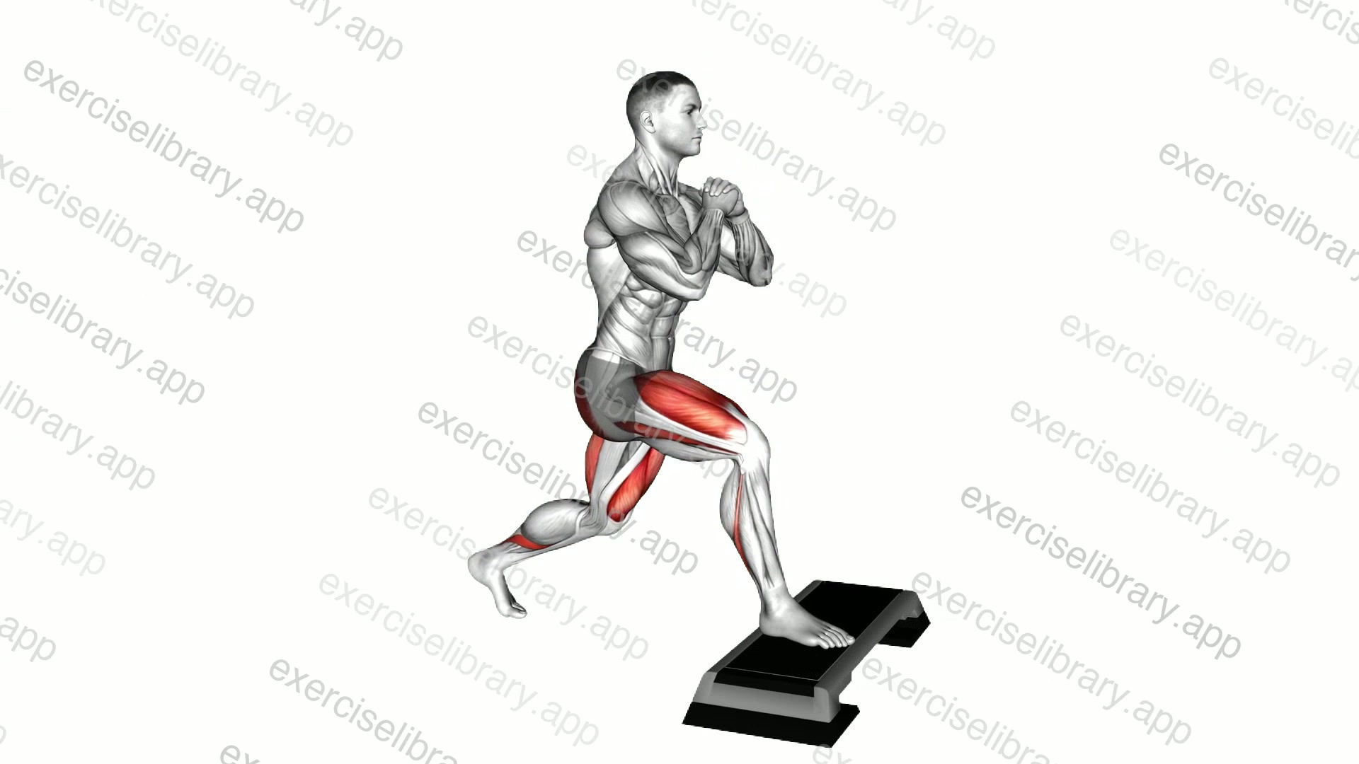 Bodyweight Split Squat Front Foot Elevanted demonstration