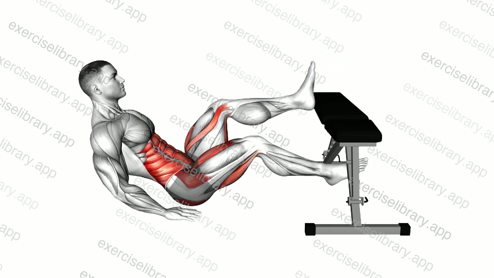 Seated Alternate In Out Leg Raise over Bench demonstration