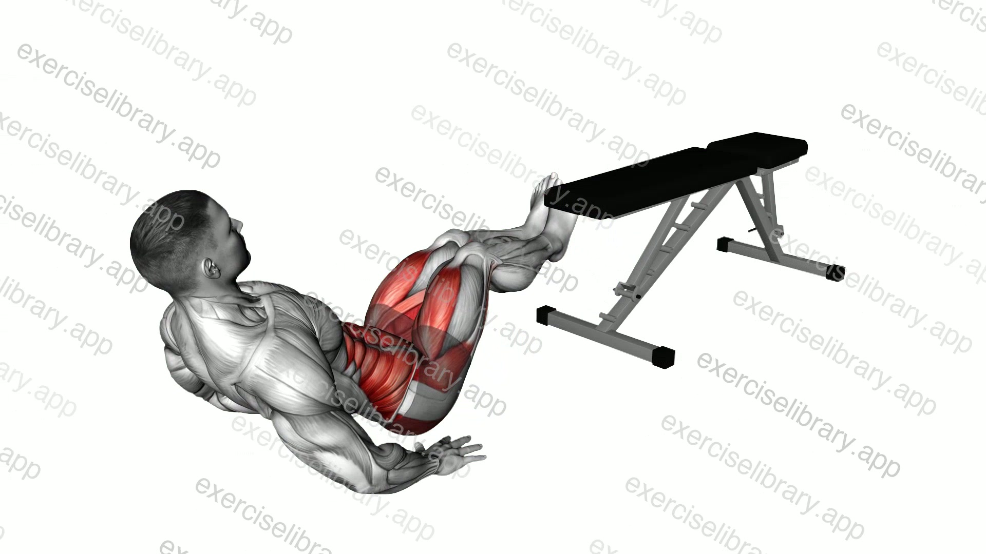 Seated Legs Circle over Bench demonstration