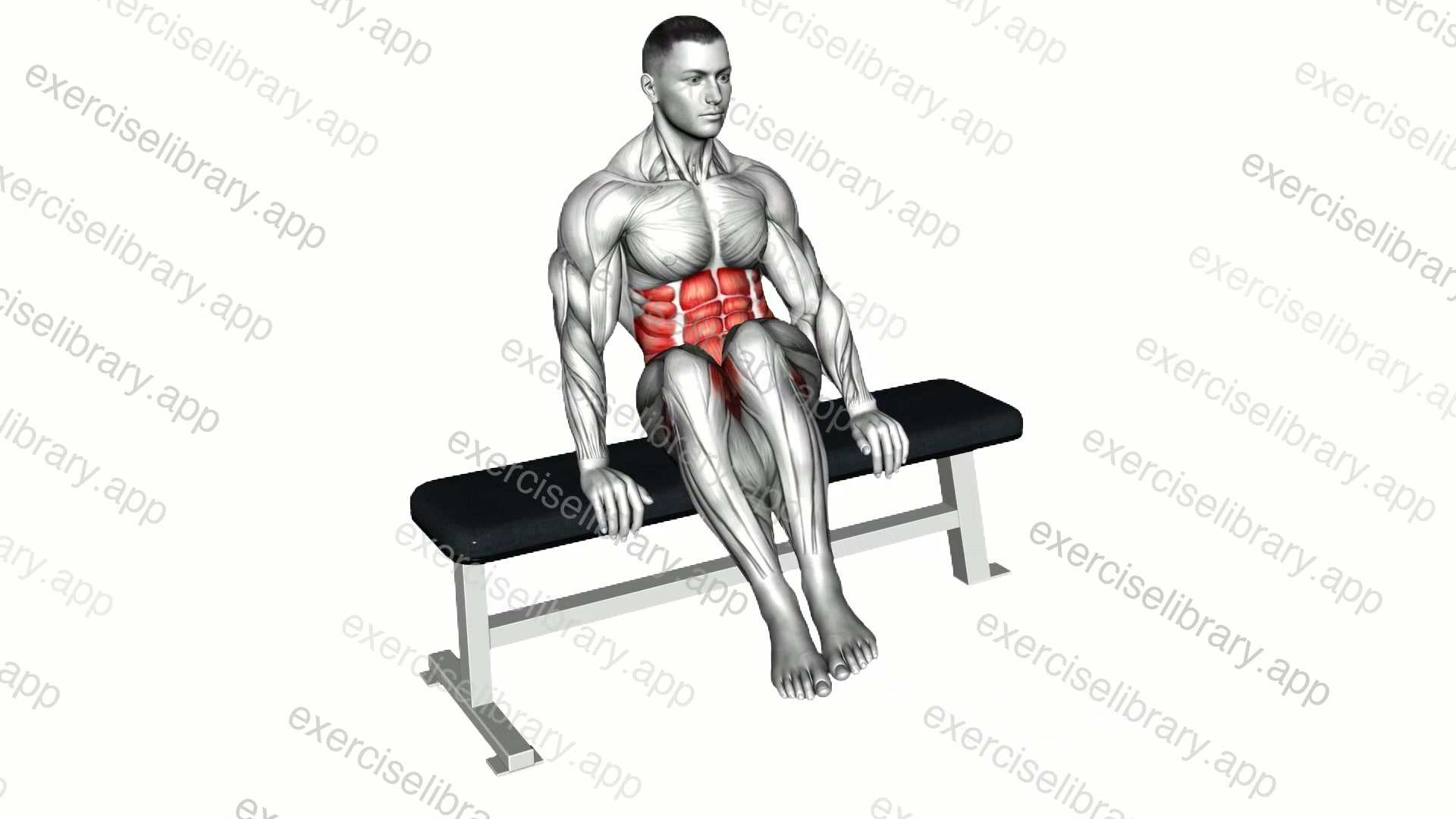 Seated Diagonal Knee Raise on Bench demonstration