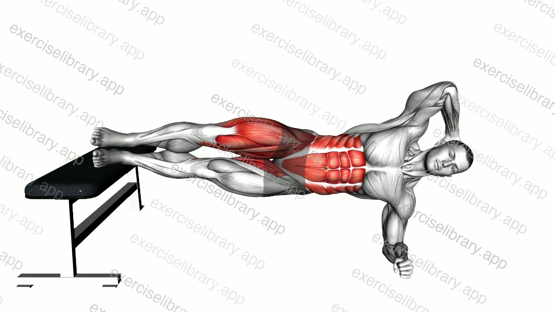 Elbow To Knee Decline Side Plank demonstration