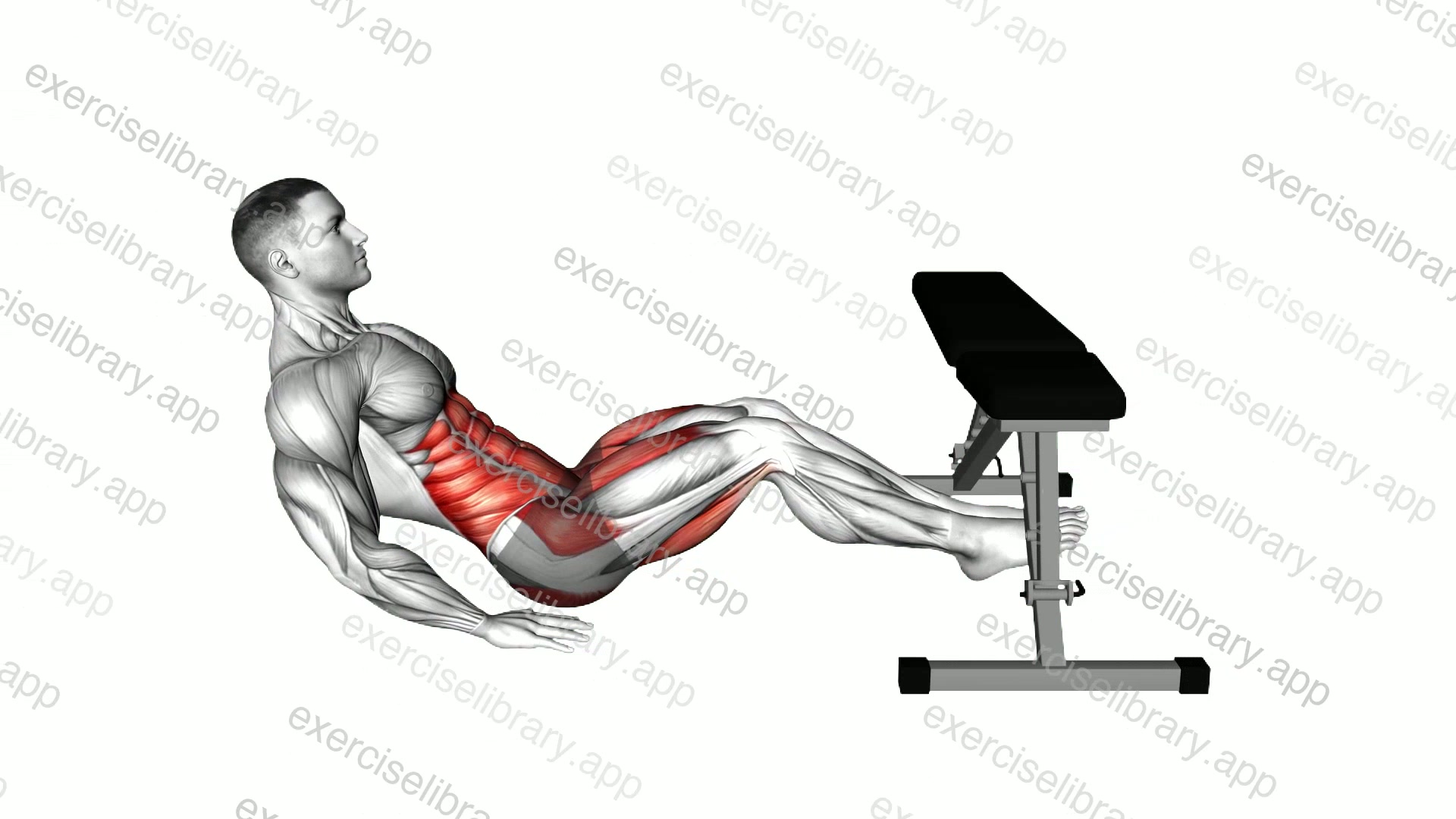 Seated In Out Leg Raise over Bench demonstration