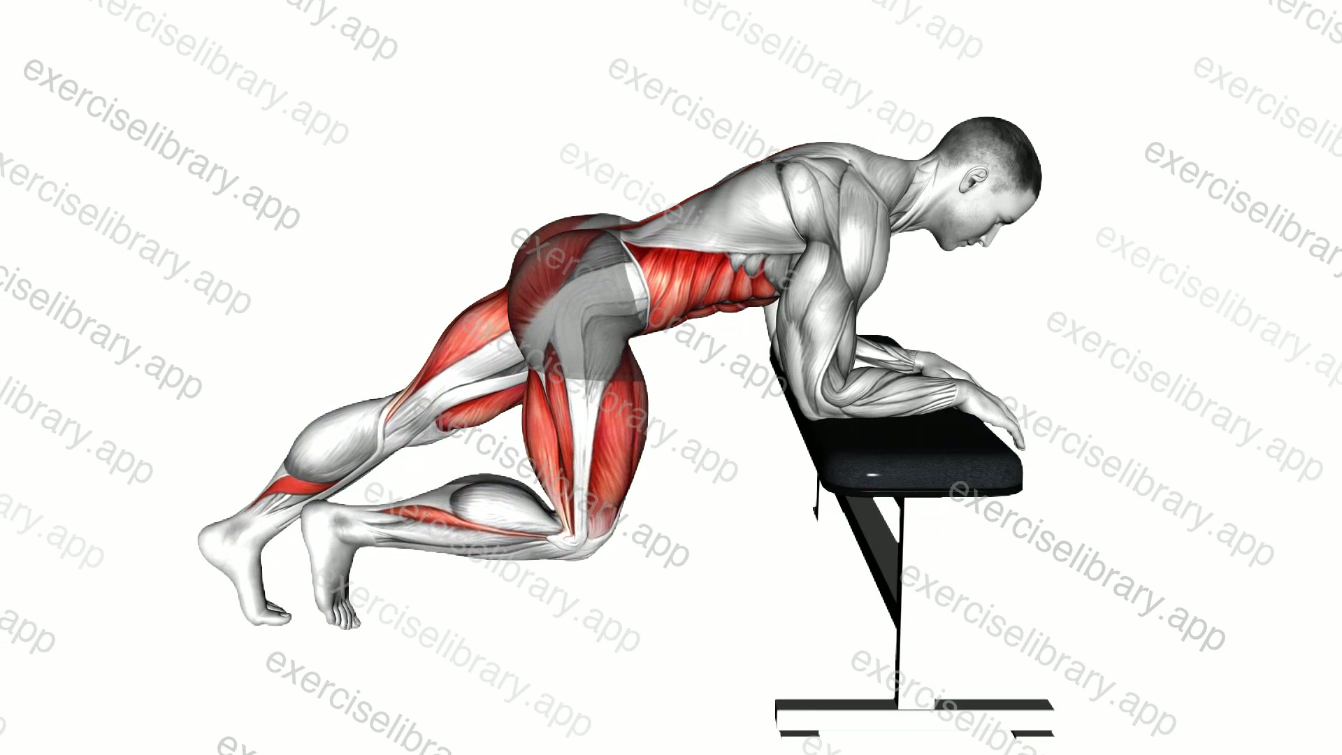 Mountain Climber over Bench demonstration